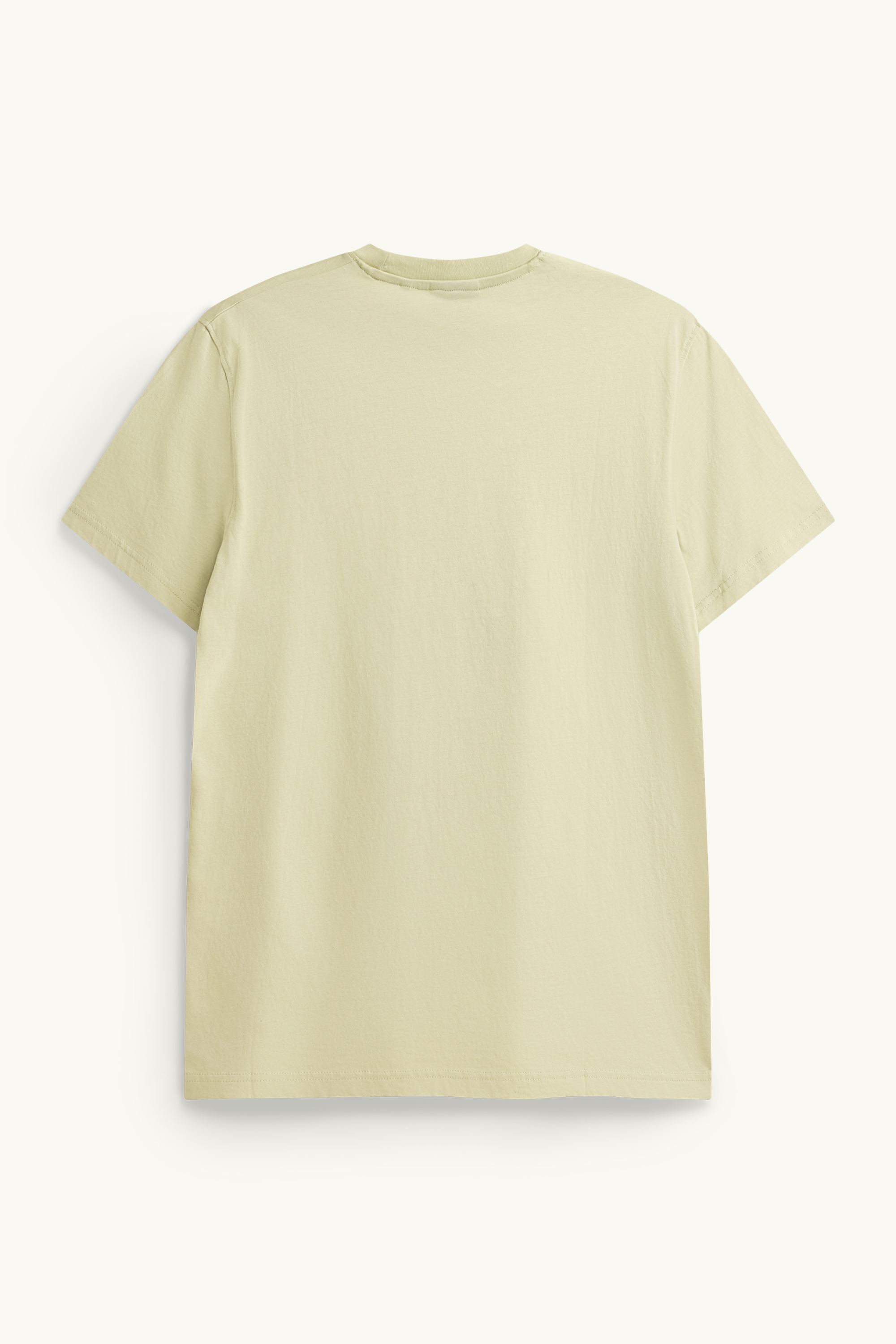 T-shirt - regular fit light green (24)