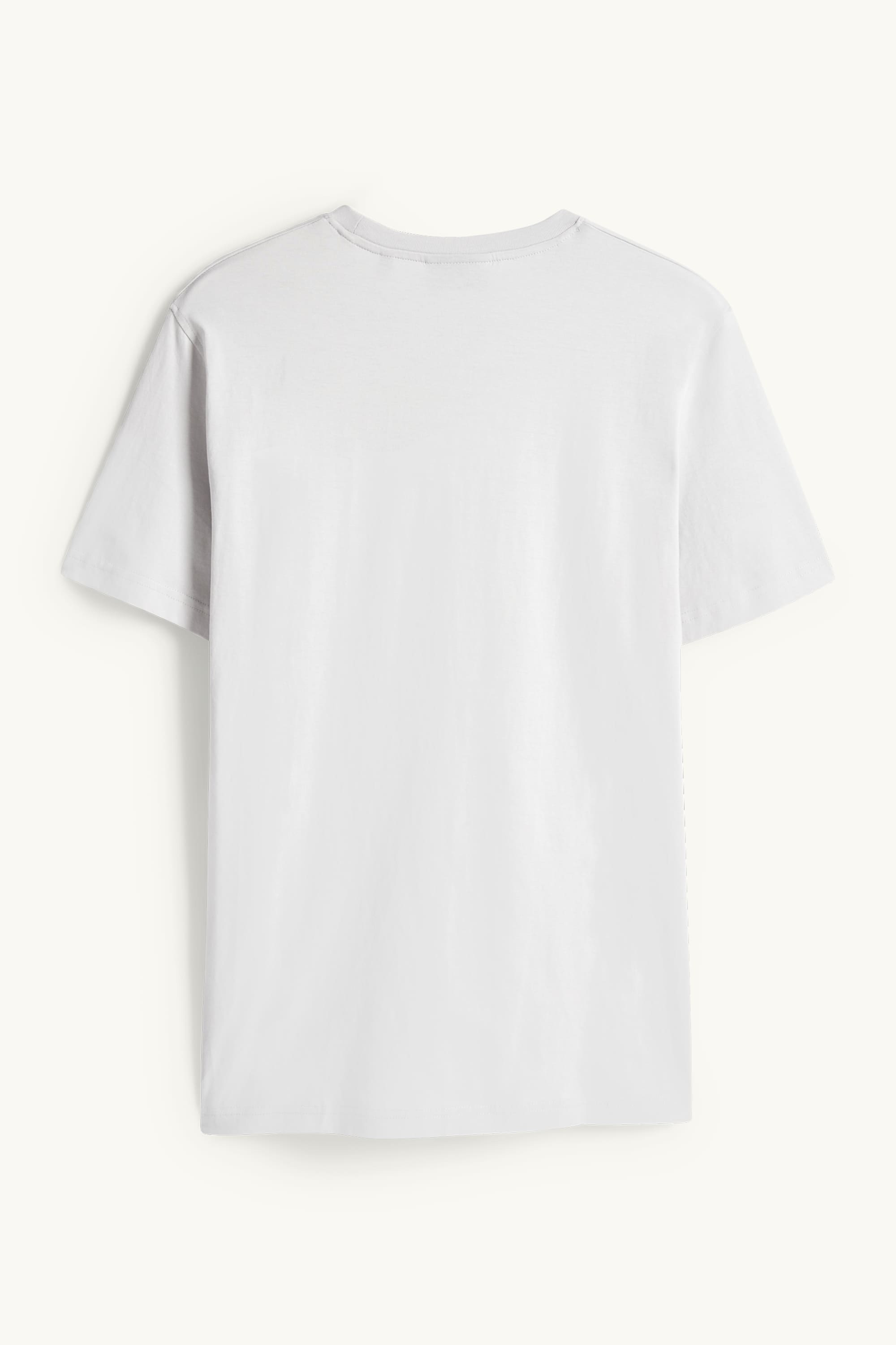 T-shirt - regular fit light gray