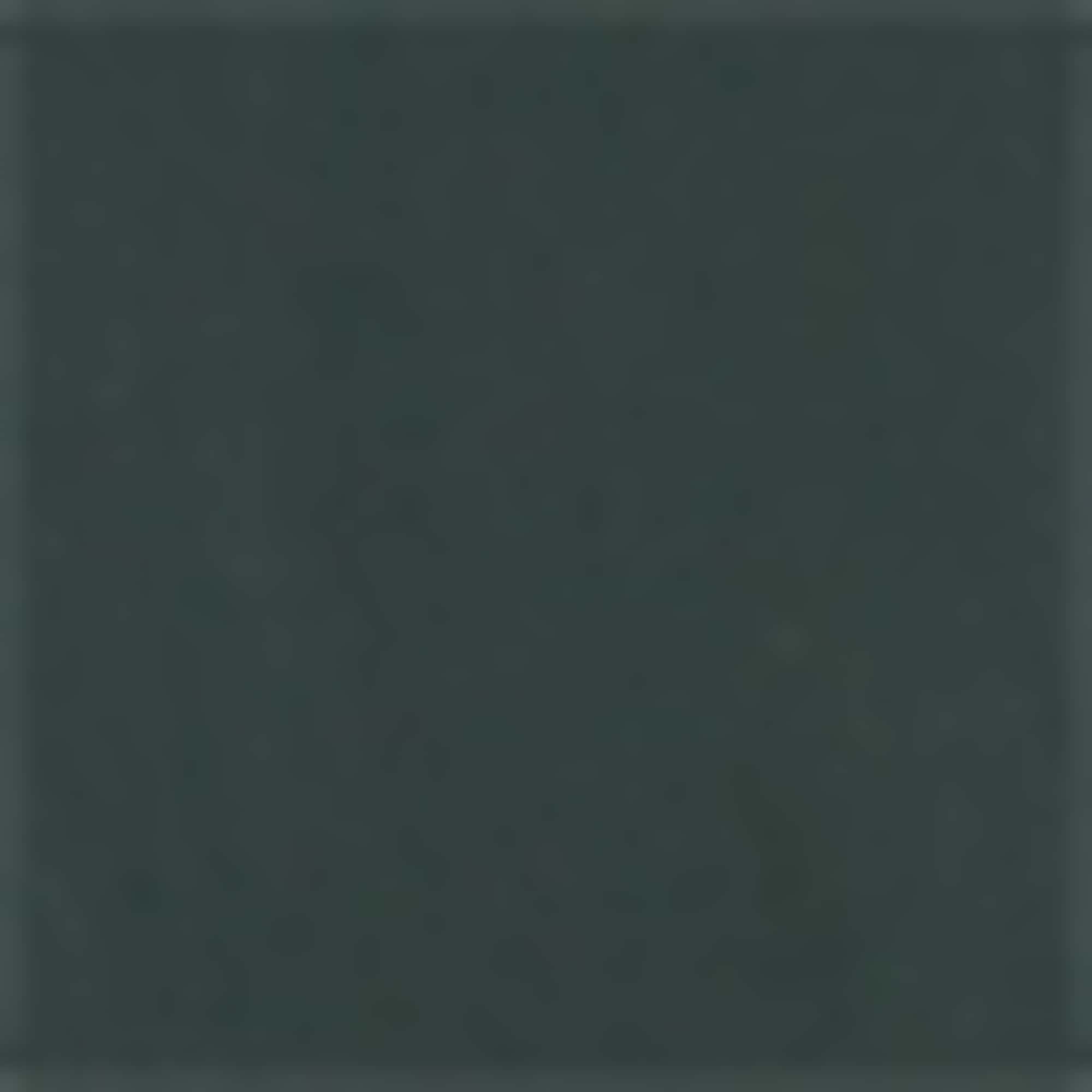 Jacket - lined dark green
