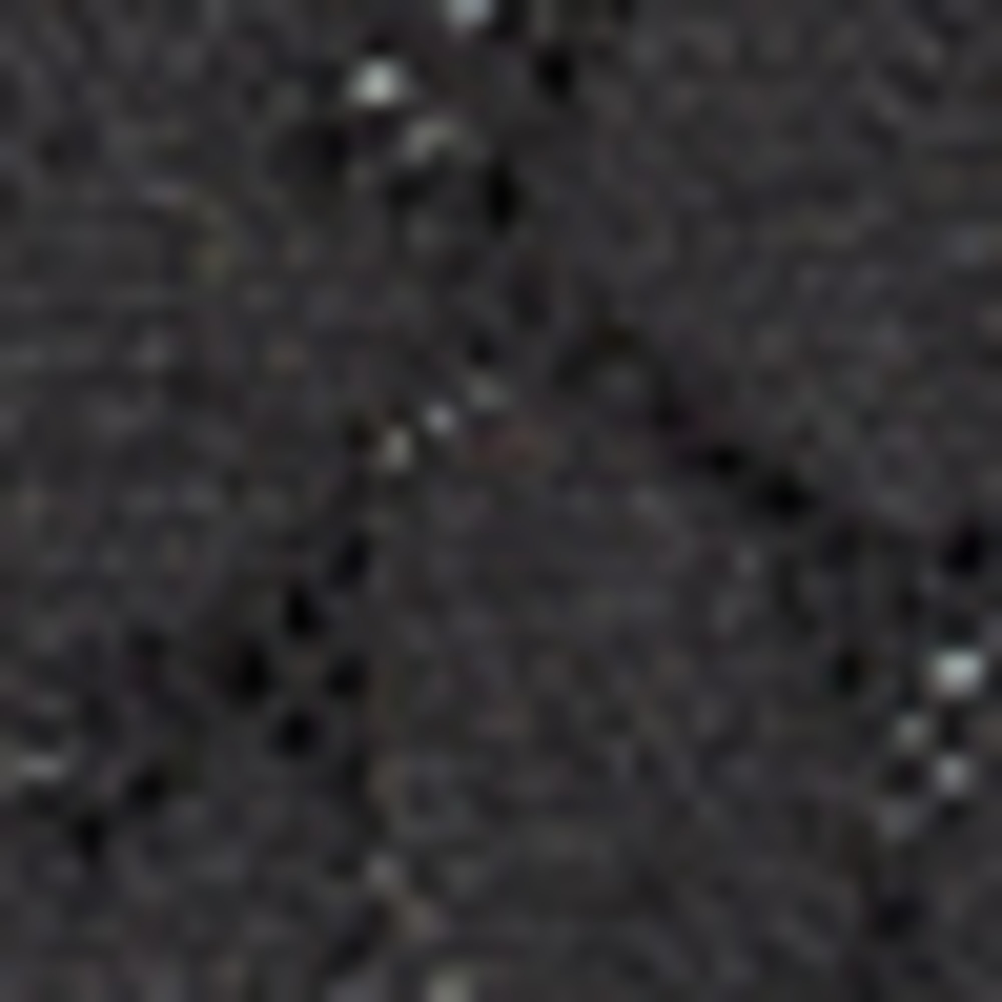 Knickers black