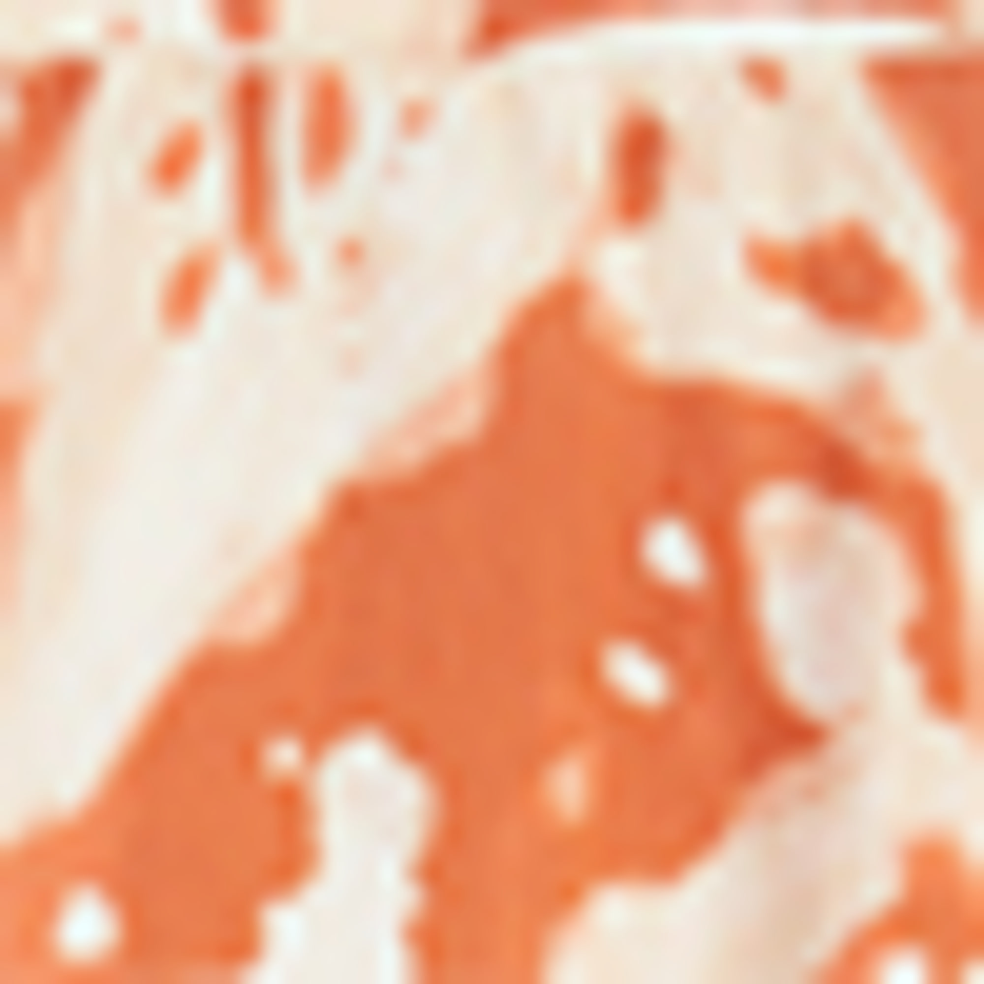 Skirt - patterned dark orange
