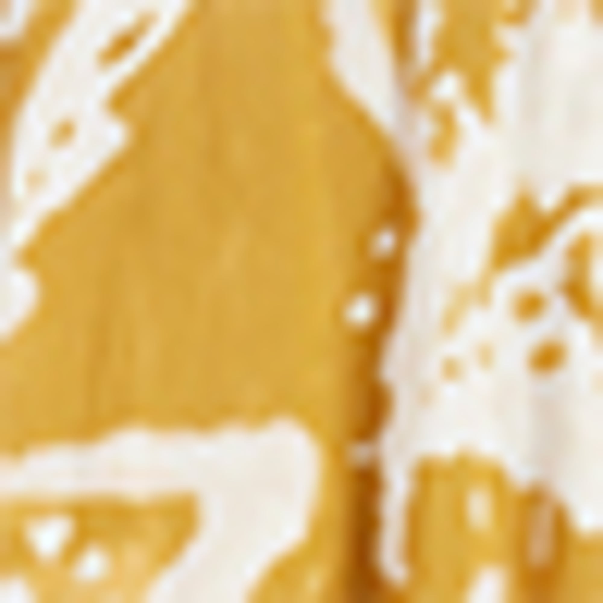 Skirt - patterned mustard yellow
