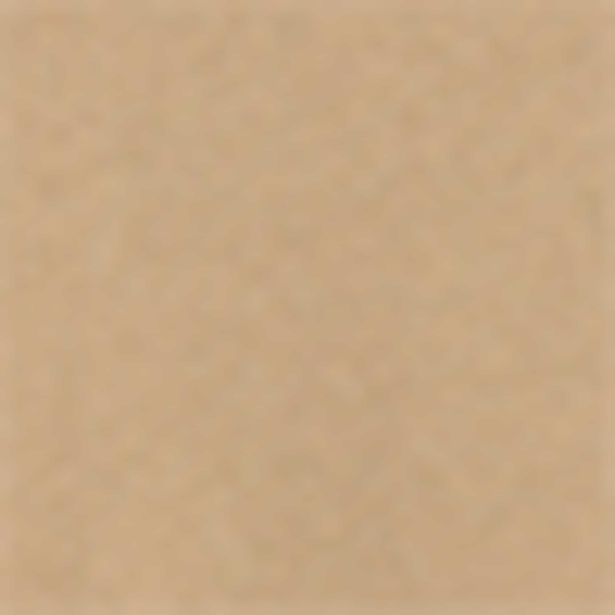 Sweatshirt light brown (3)