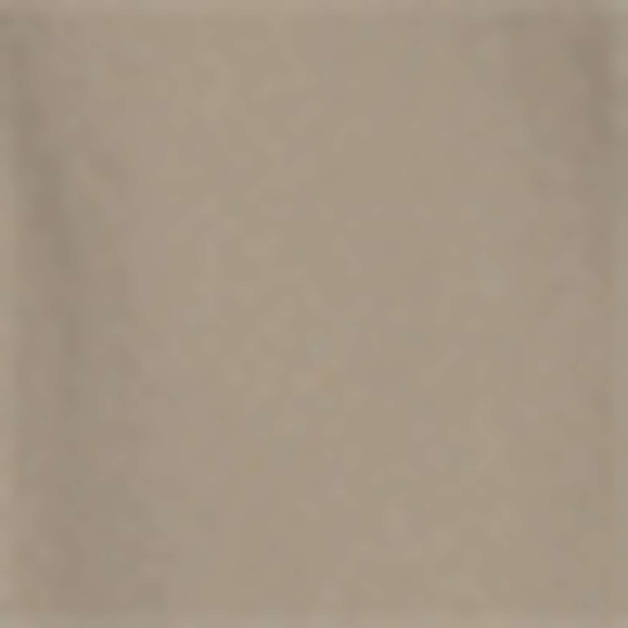 Cloth trousers - high waist - slim fit beige (2)