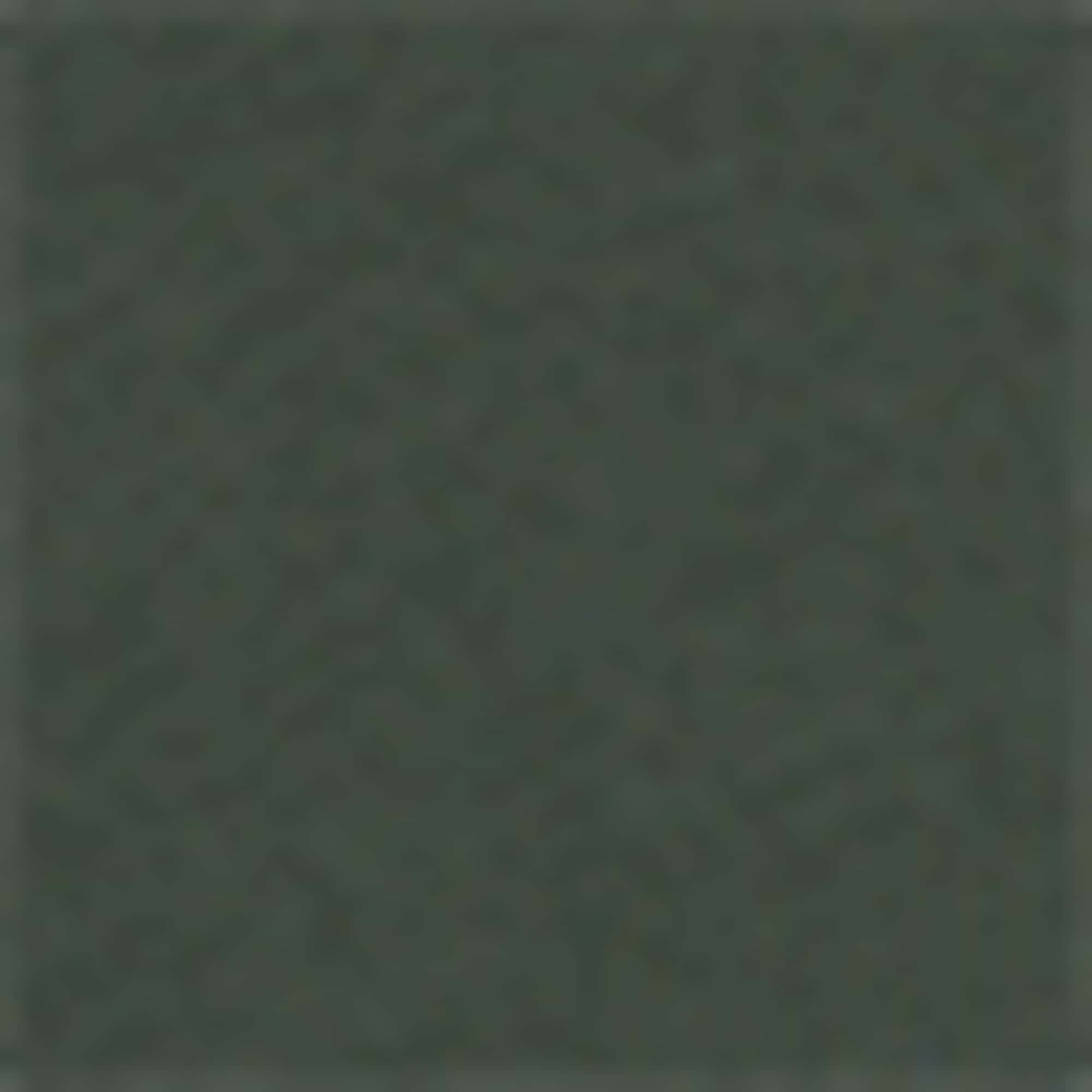 Hoodie dark green