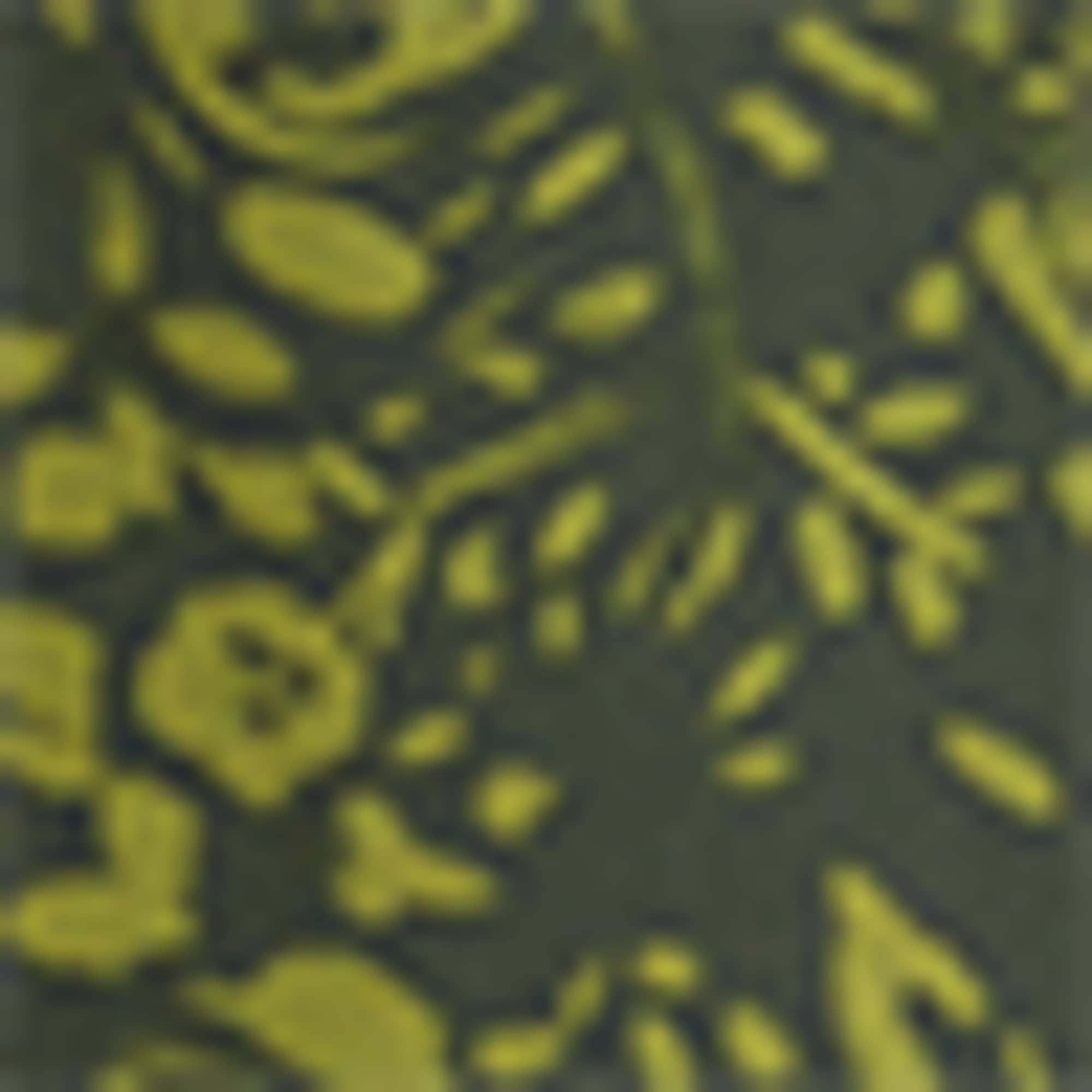 Blouse - patterned green