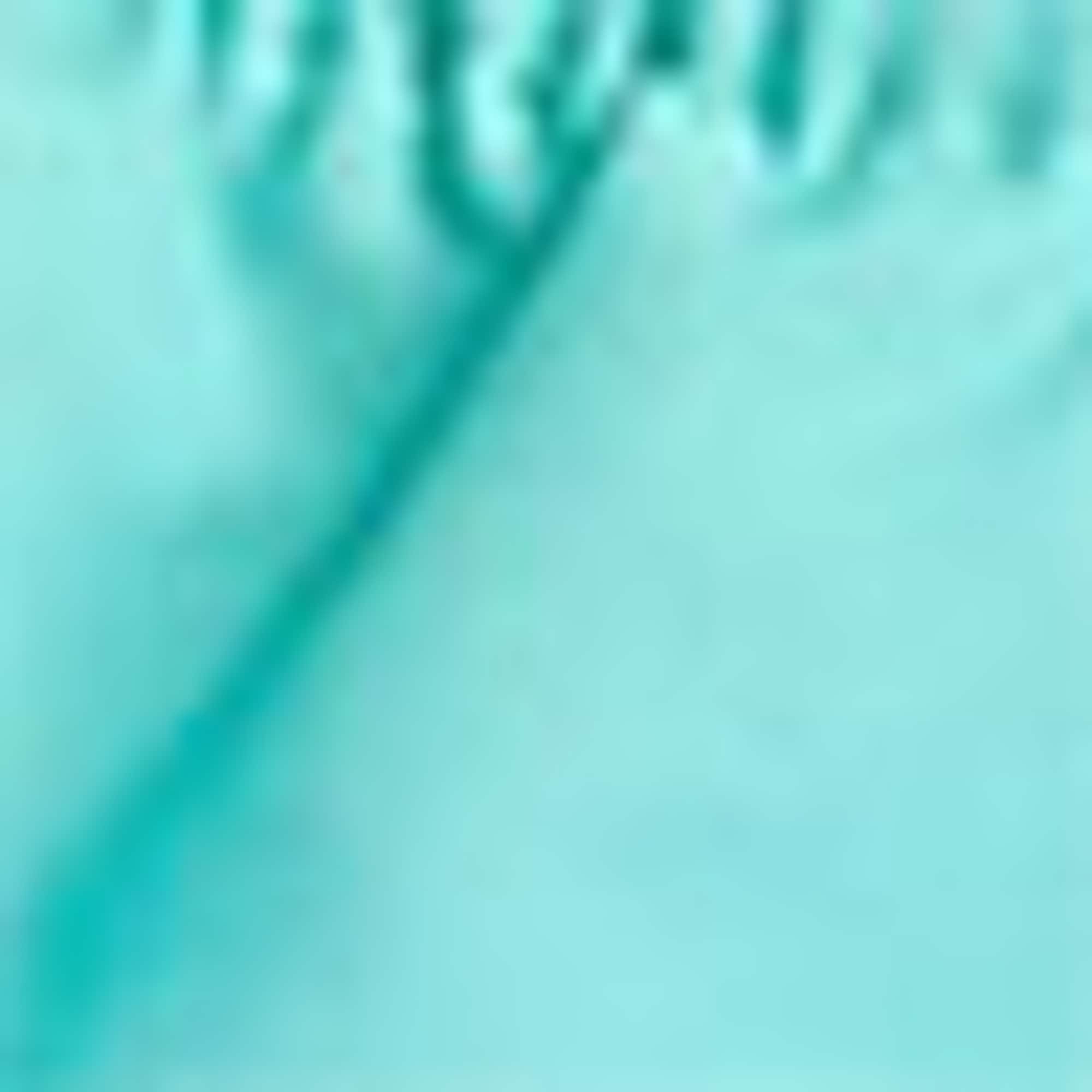 Palm - swim shorts turquoise