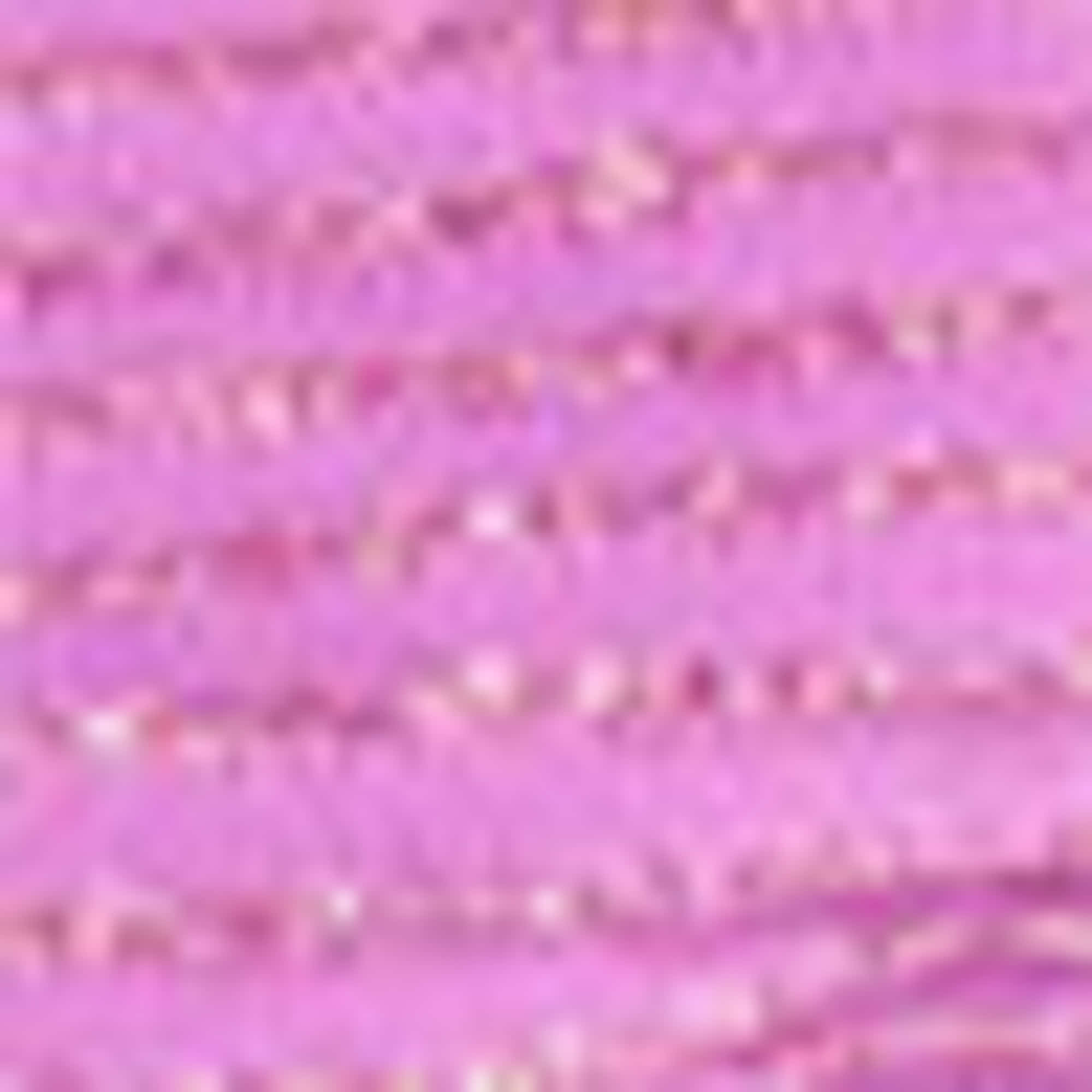 Bikini - shiny purple
