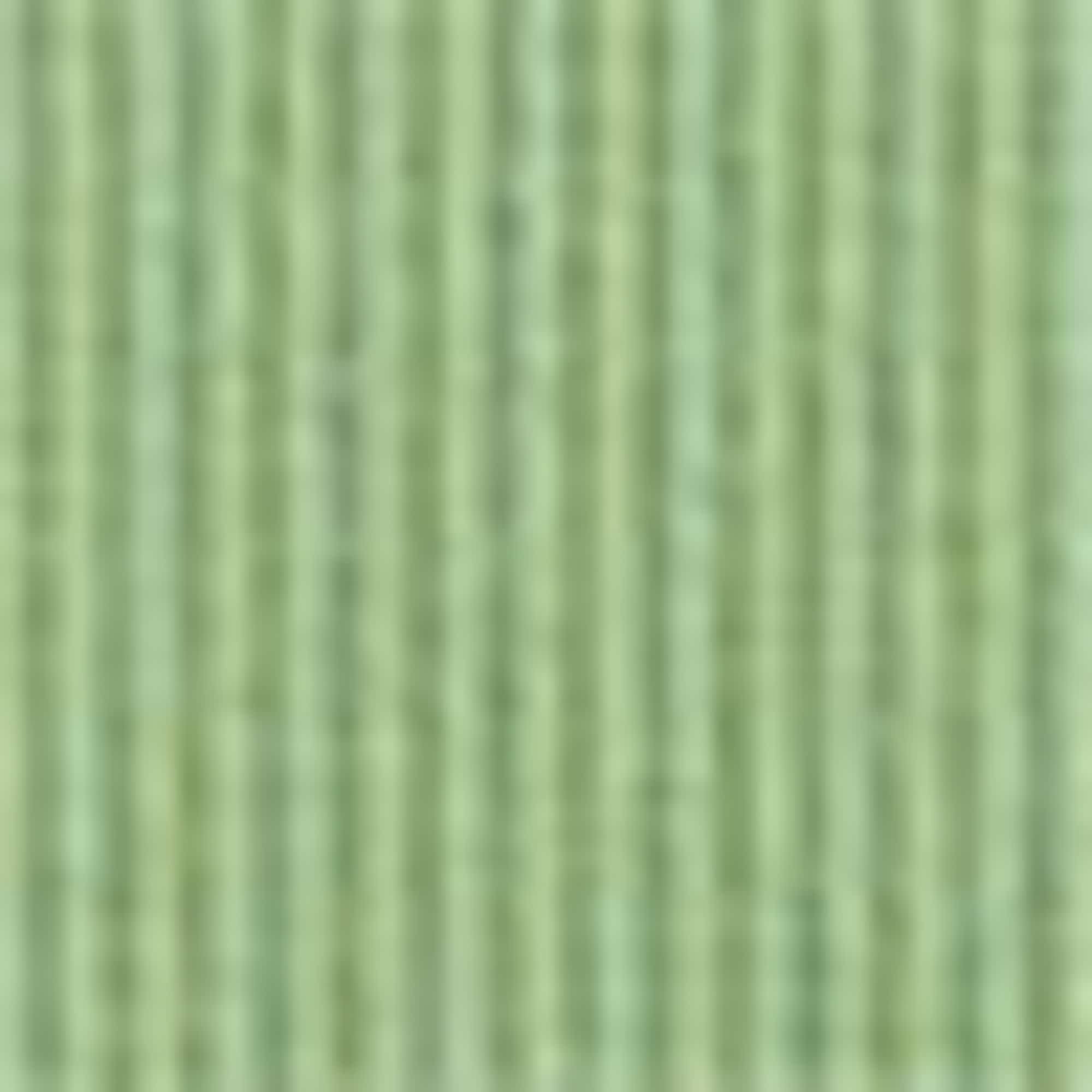 Top - ribbed green