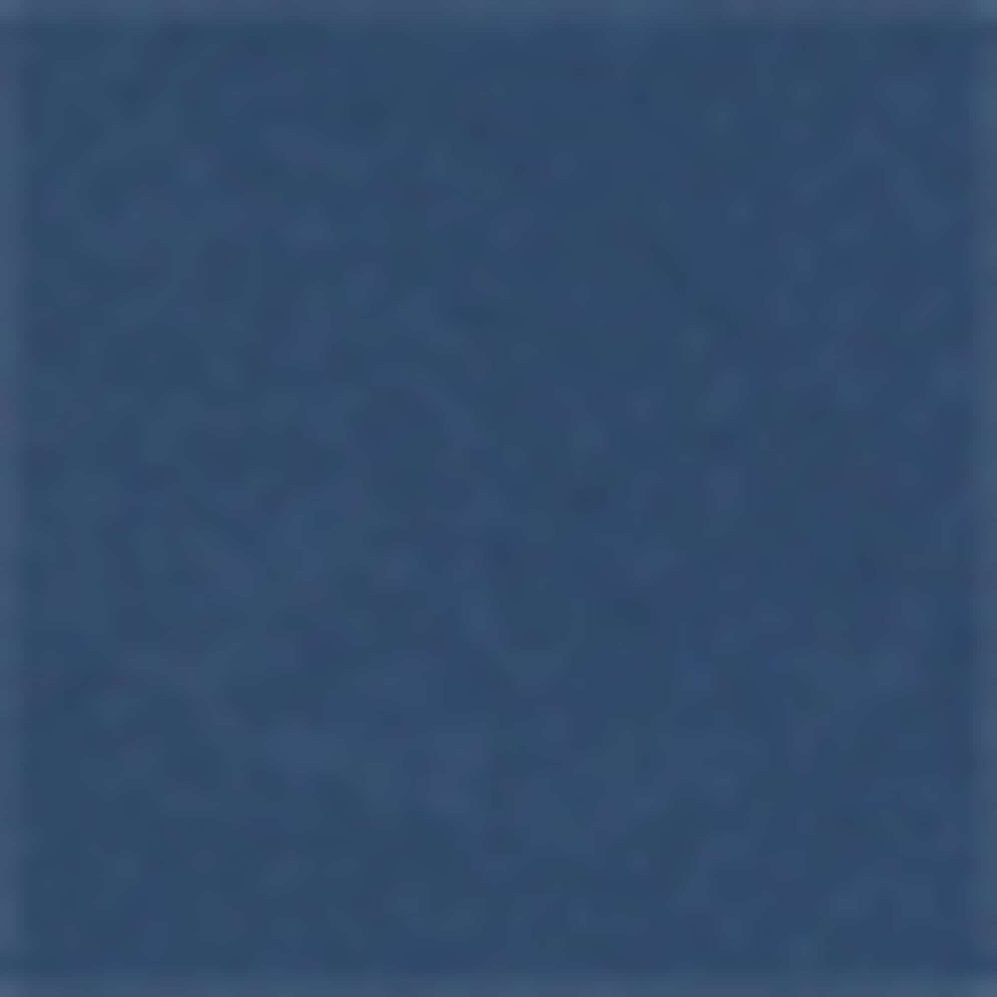 Sweat shorts dark blue (4)