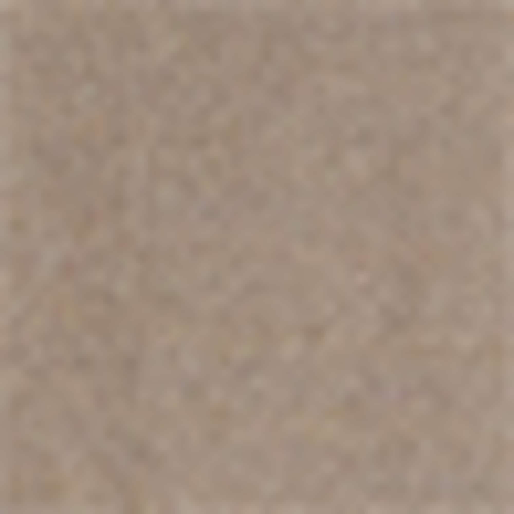 Polo shirt - regular fit light brown