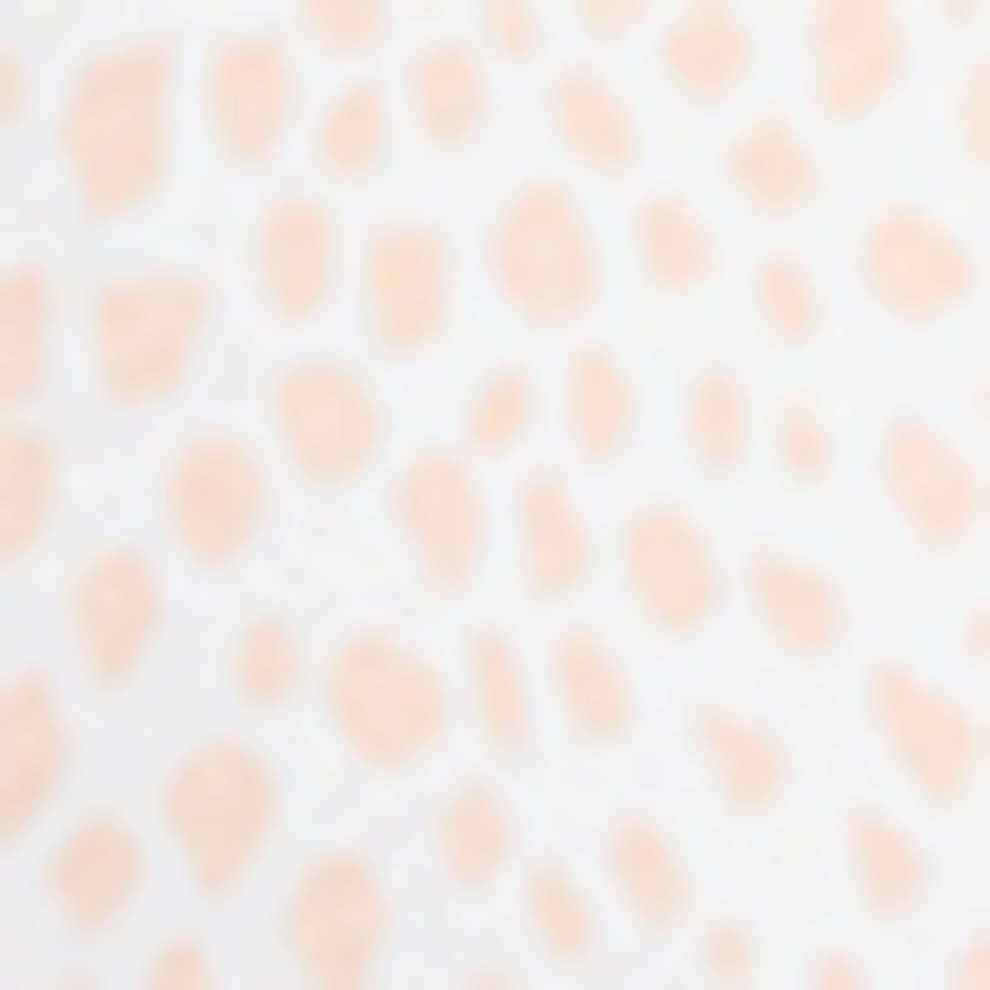 Multipack of 2 - non-wired bra - padded white / orange