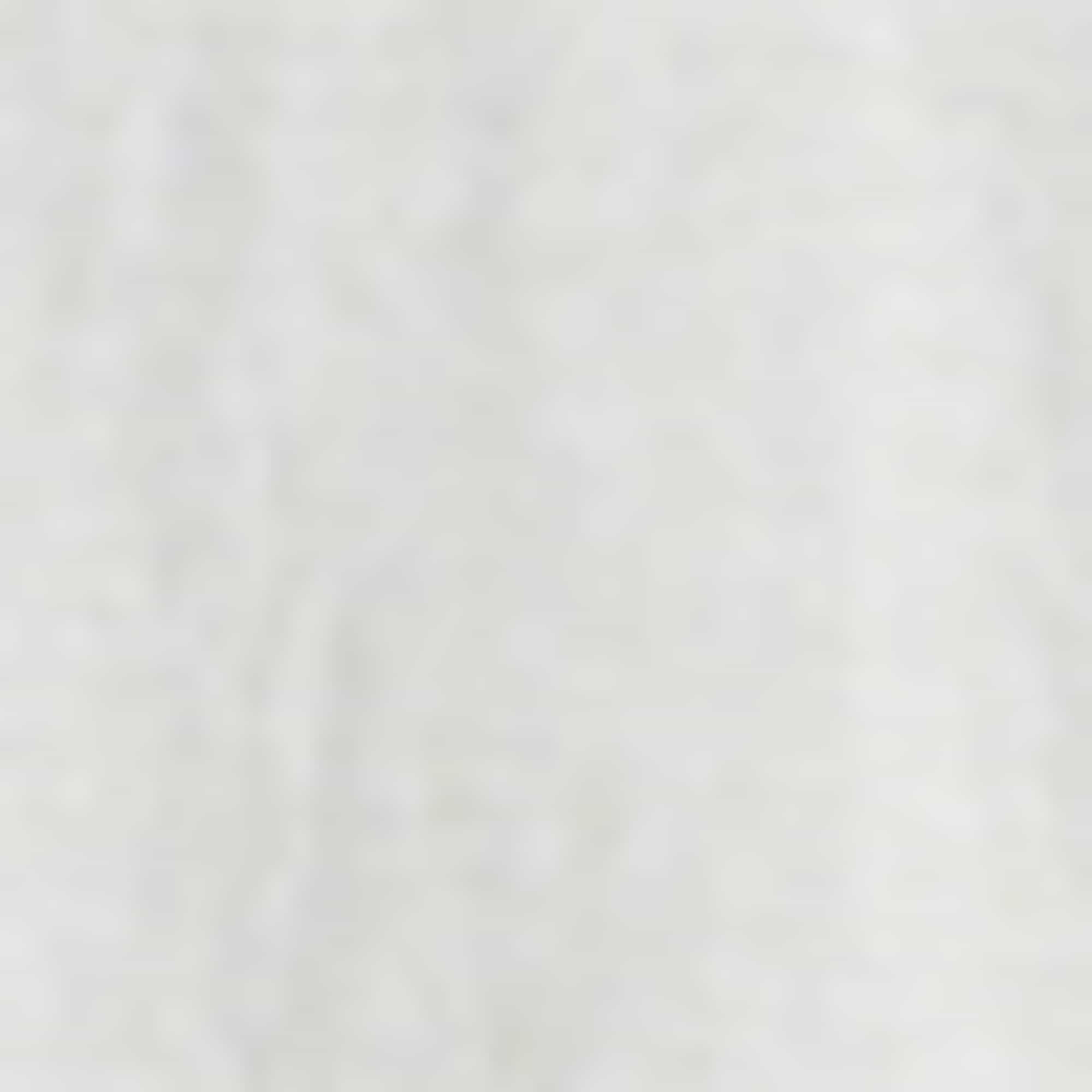 Shirt with linen content light gray