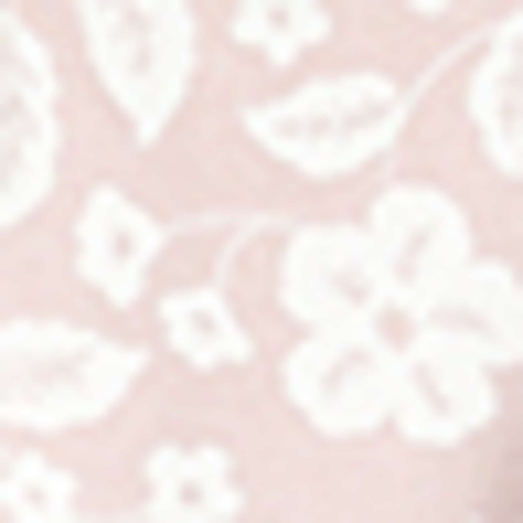 Multipack of 2 - flowers - baby bodysuit white / rose