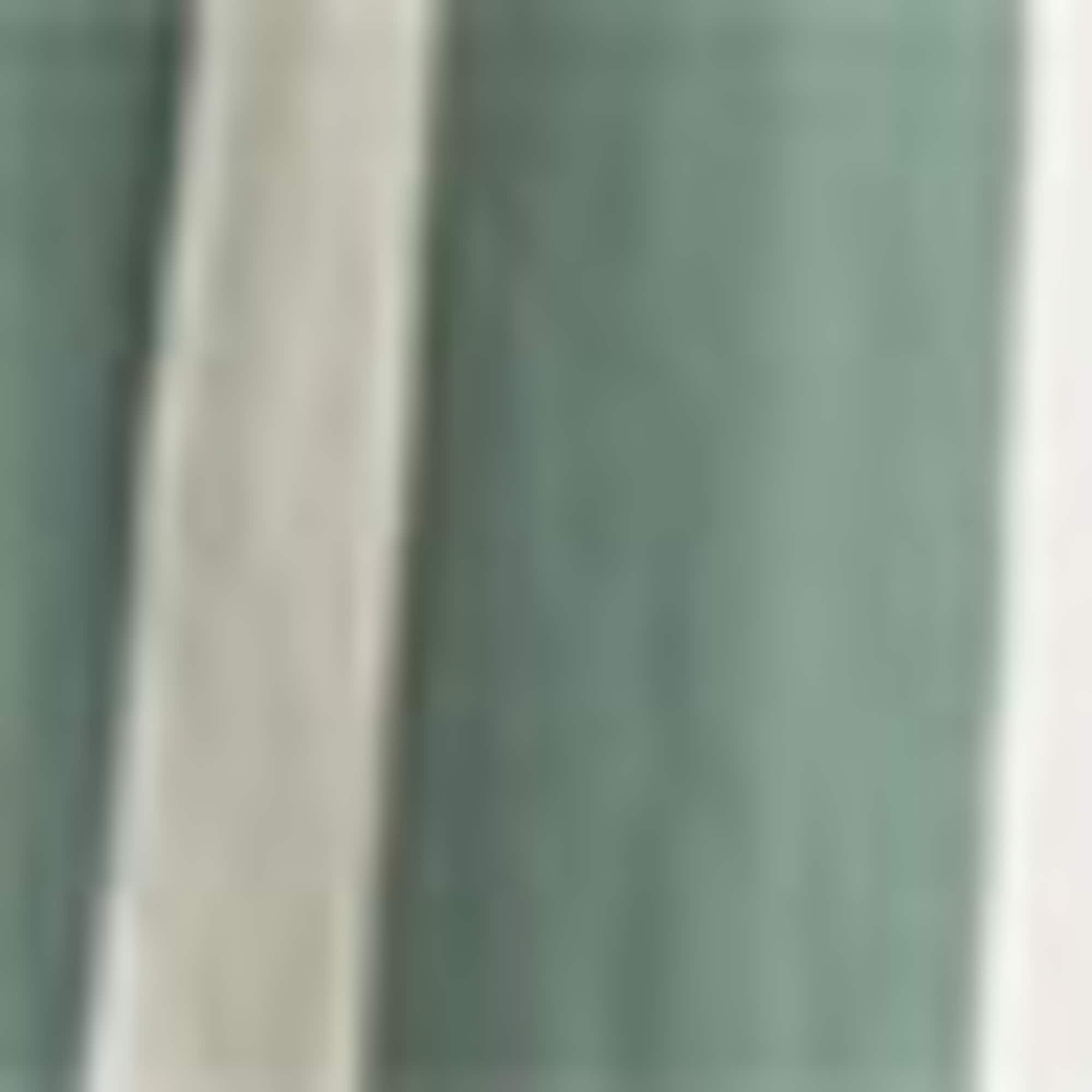 Swim shorts - striped white / green
