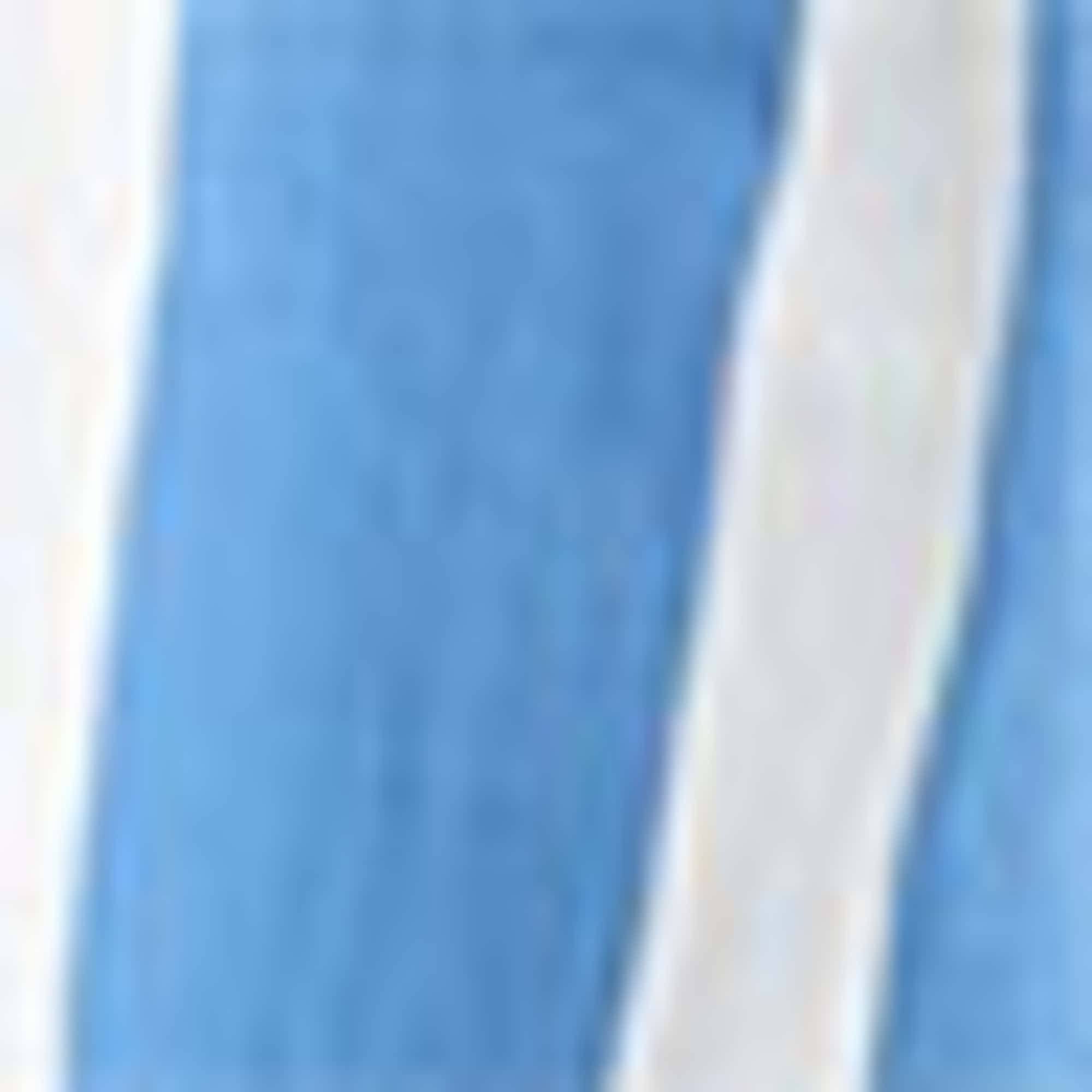 Swim shorts - striped blue / white
