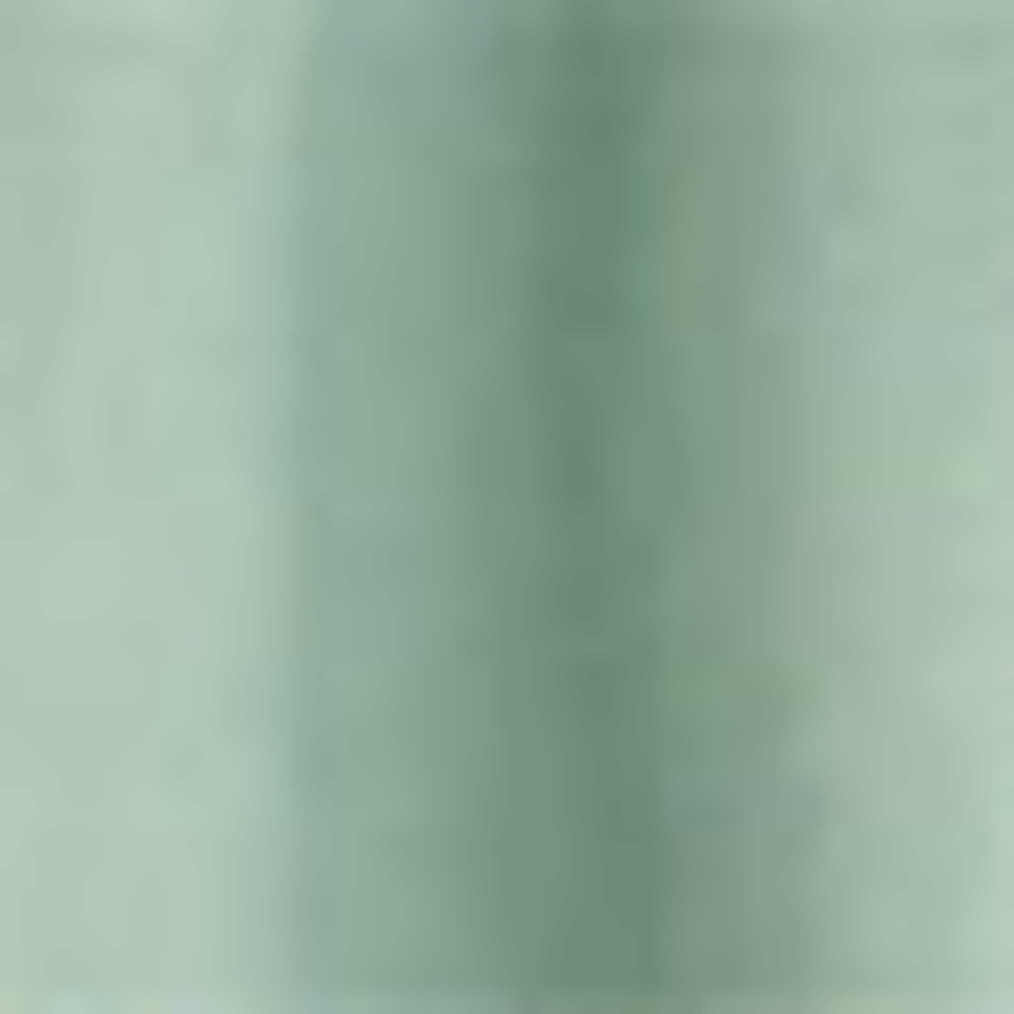 Swim shorts - LYCRA® green