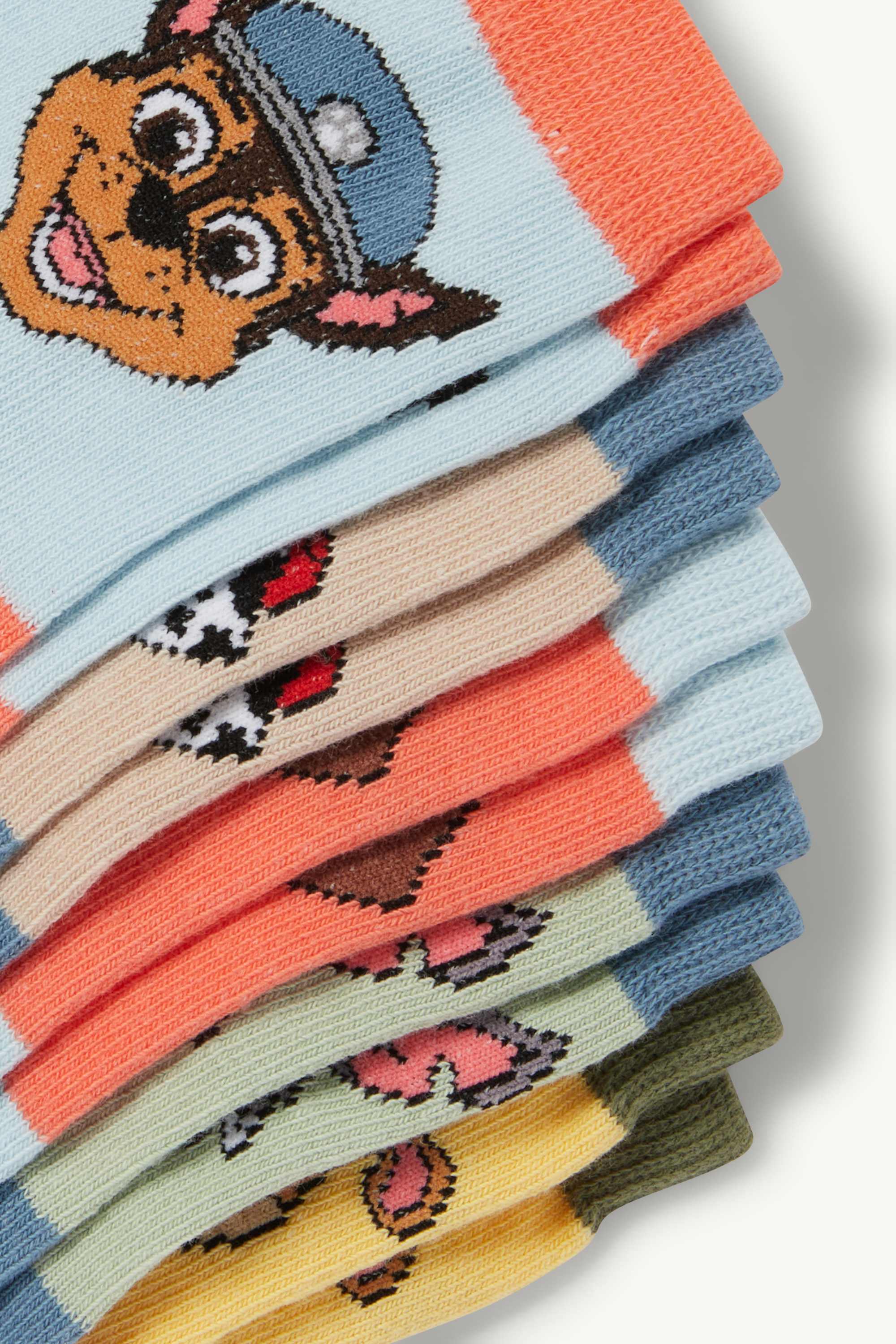 Multipack of 5 - PAW Patrol - Chase, Zuma - socks with motif blue