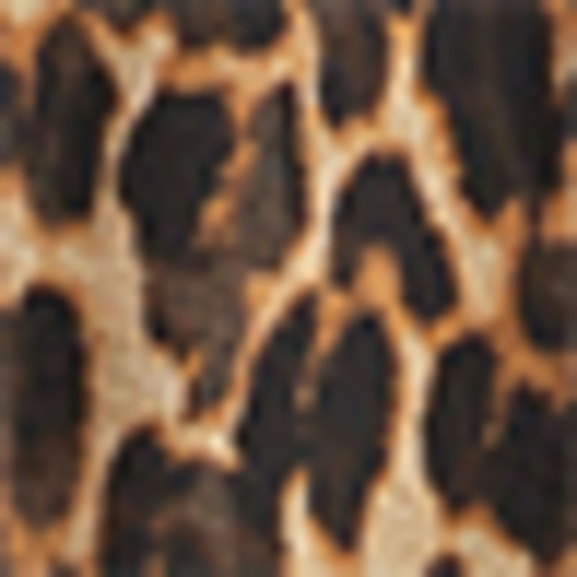Kimono - leopard print - textured black / beige