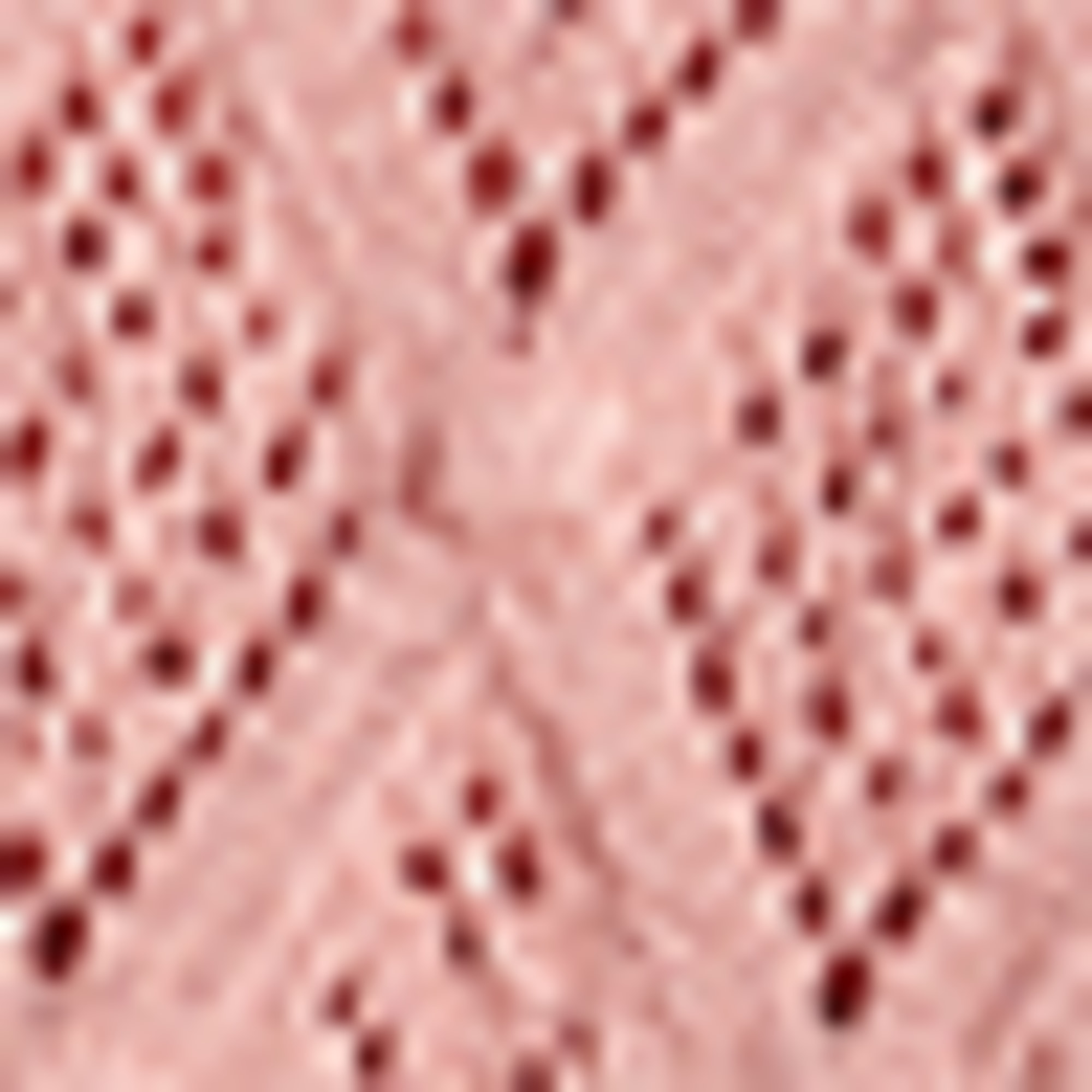 Knitted jumper - short sleeve dark rose