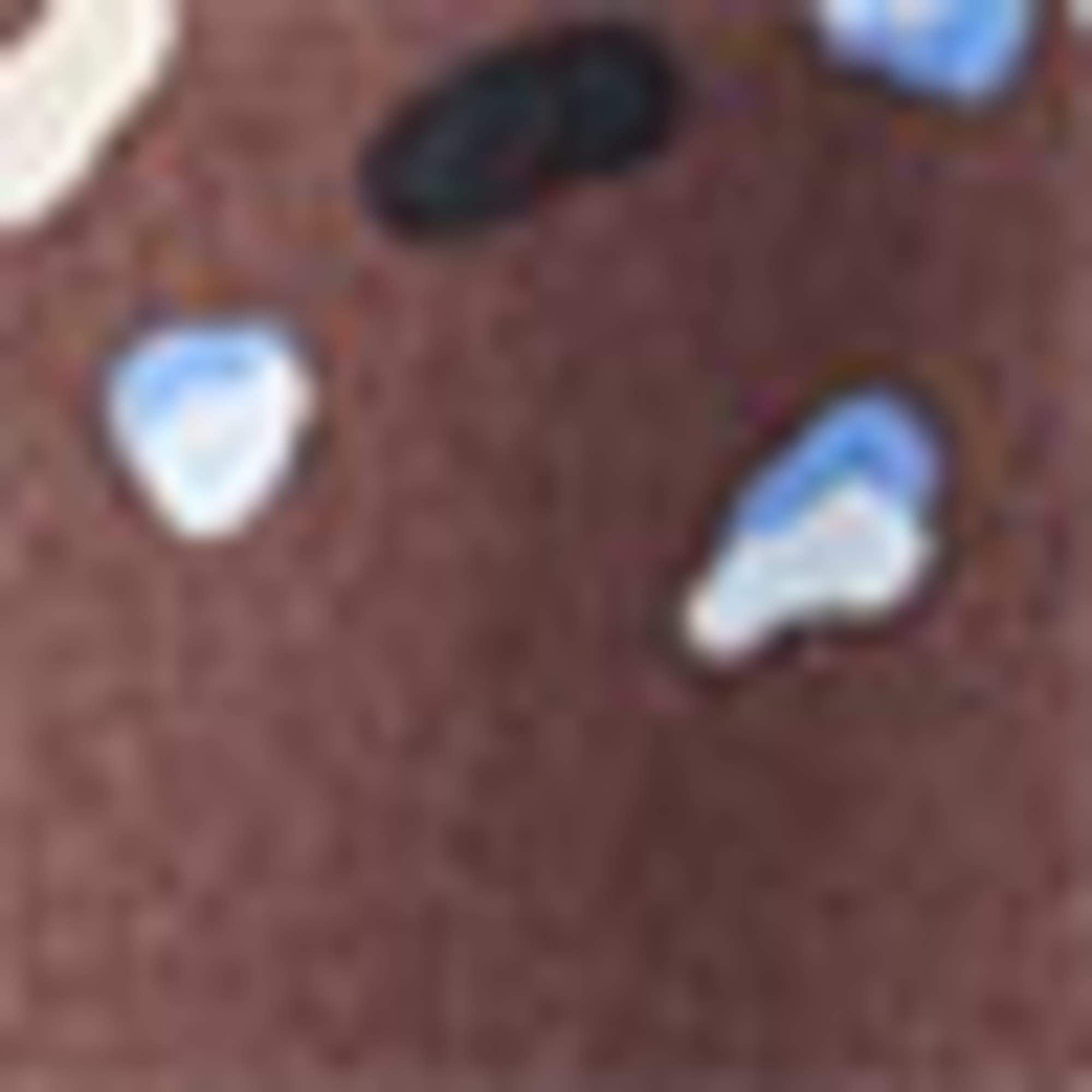 Blouse - polka dot brown
