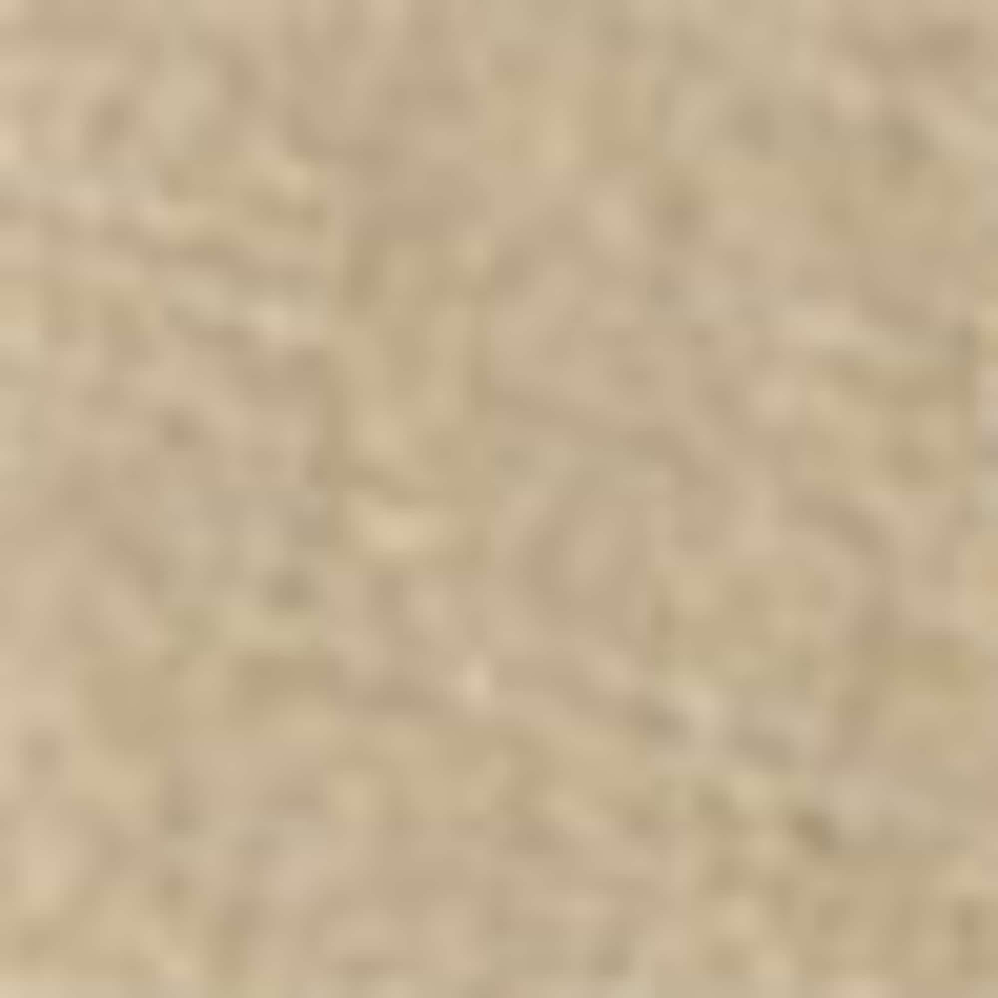 Cloth trousers beige