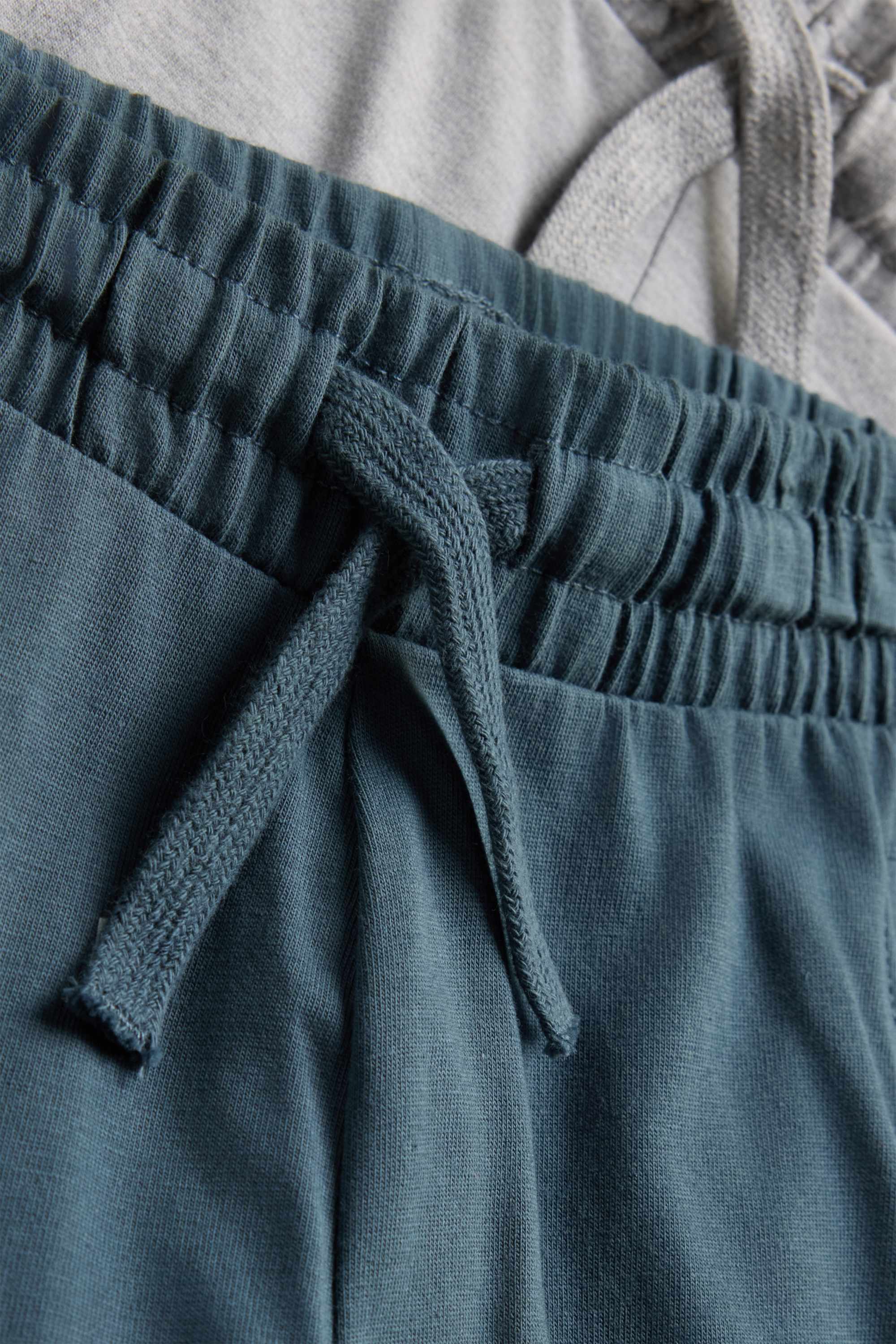 Multipack of 2 - zebra - sweat shorts blue / gray