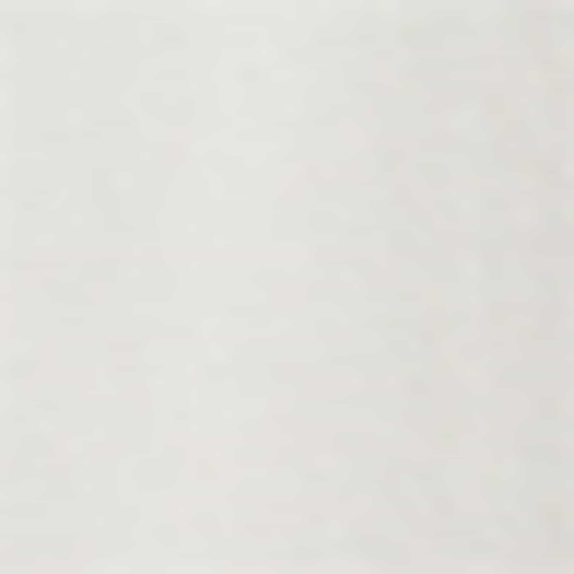 Cargo shorts with belt light gray