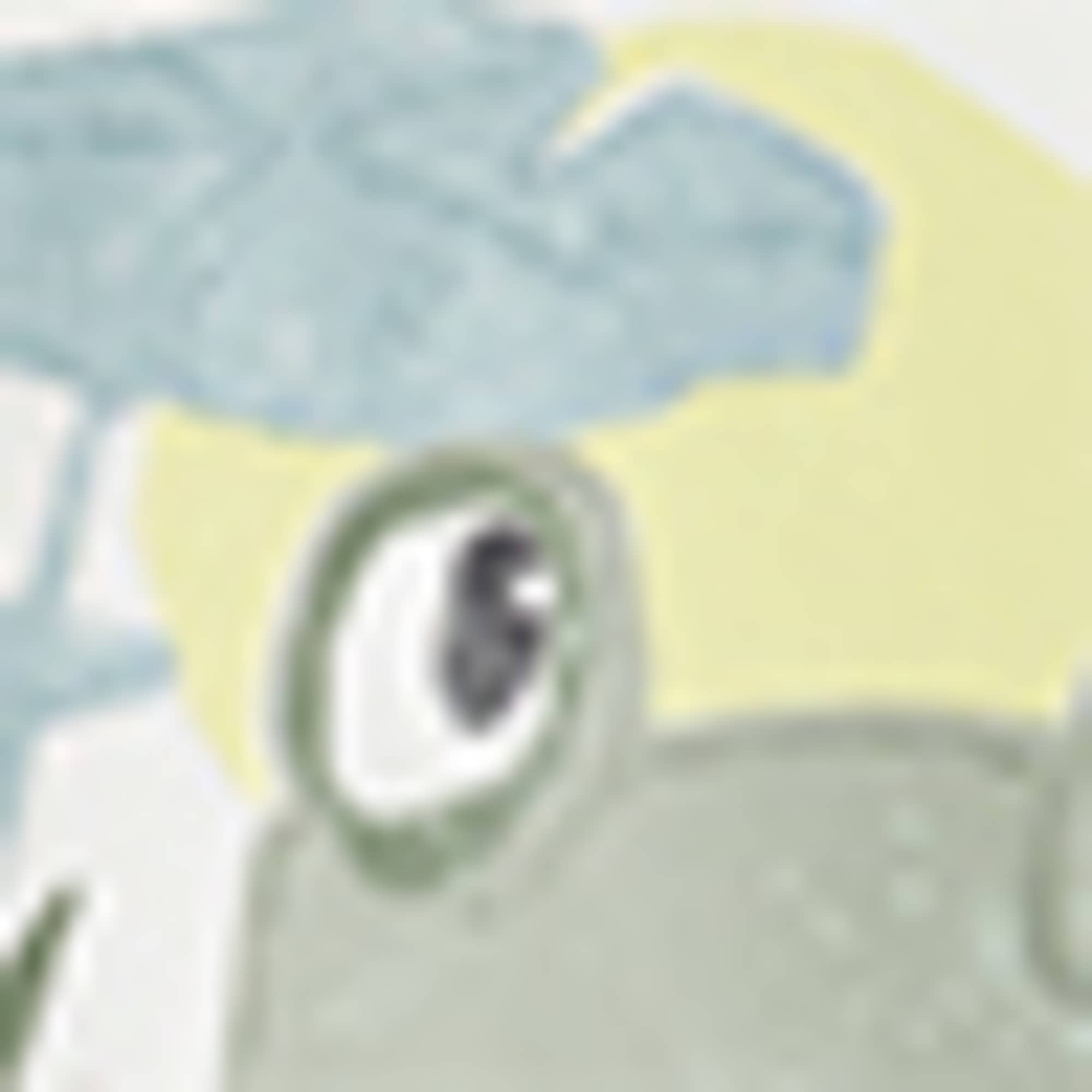 Multipack of 3 - frog - short sleeve T-shirt white