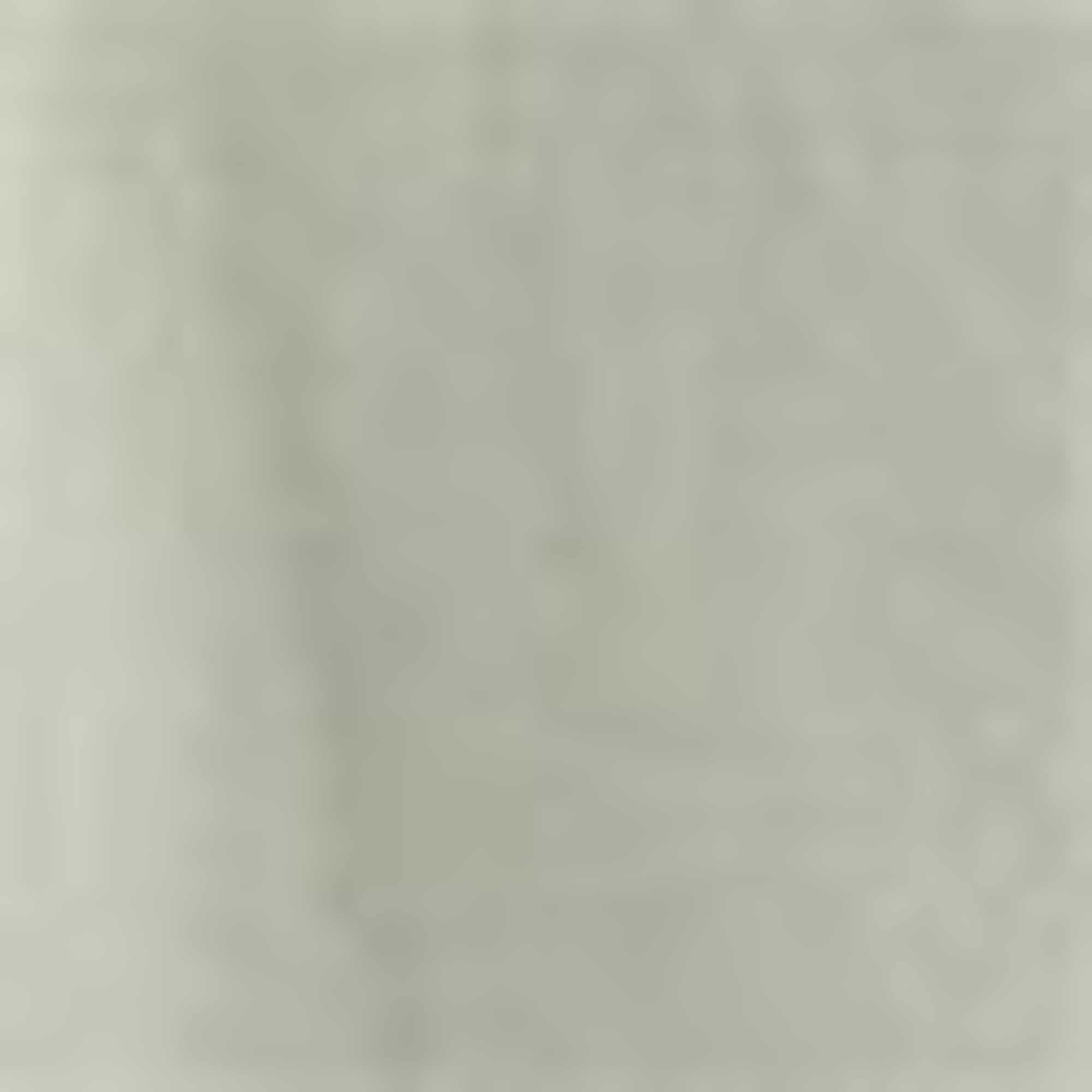 Cargo shorts light green