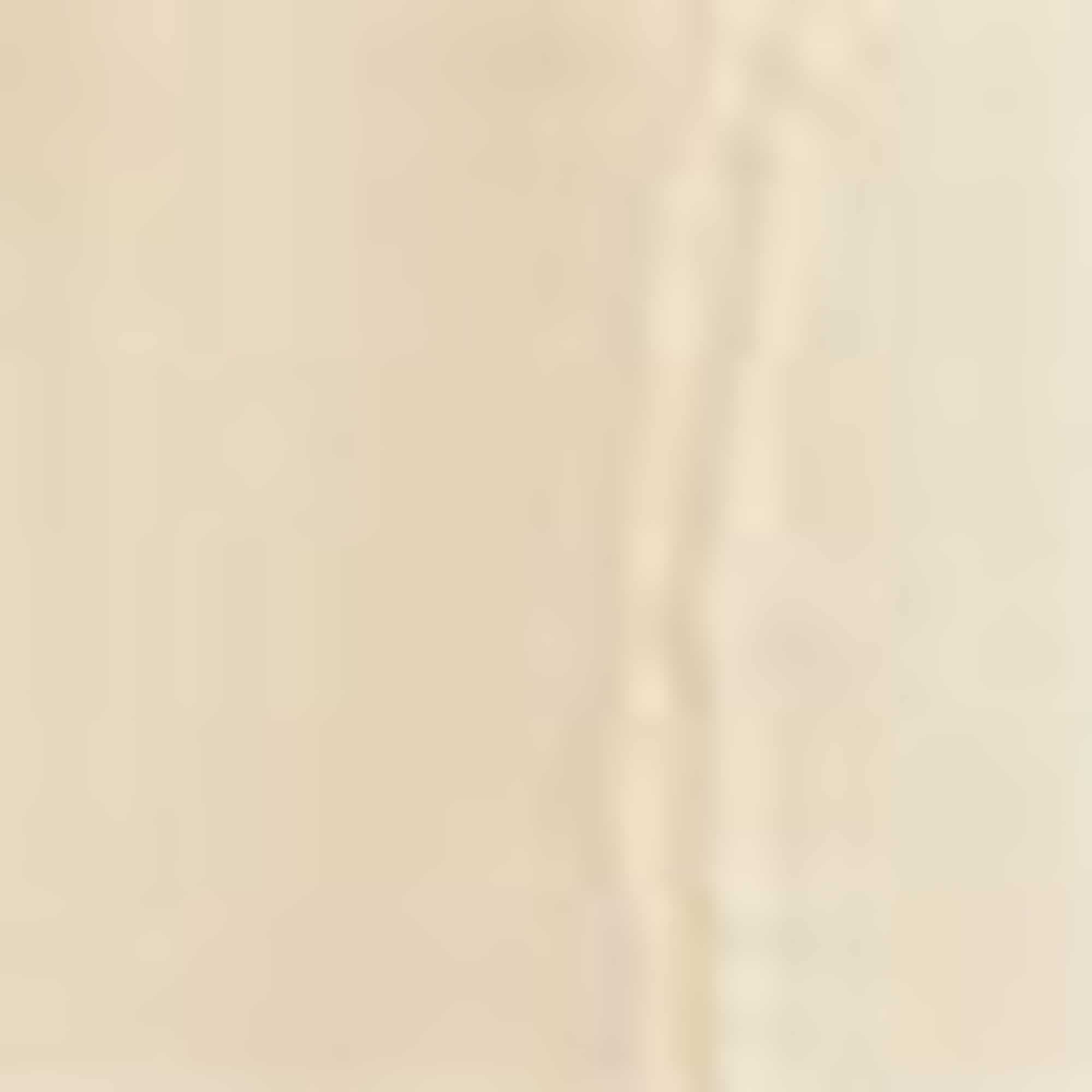 Cloth trousers beige