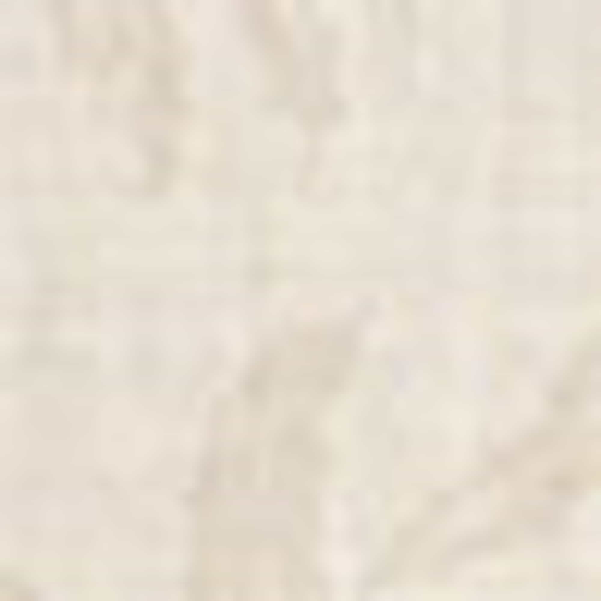 Shirt - relaxed fit - lapel collar - patterned beige