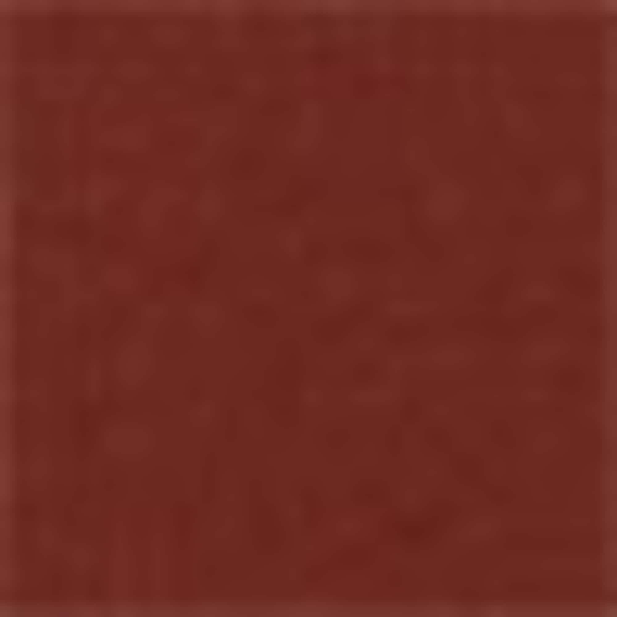 T-shirt - regular fit brown