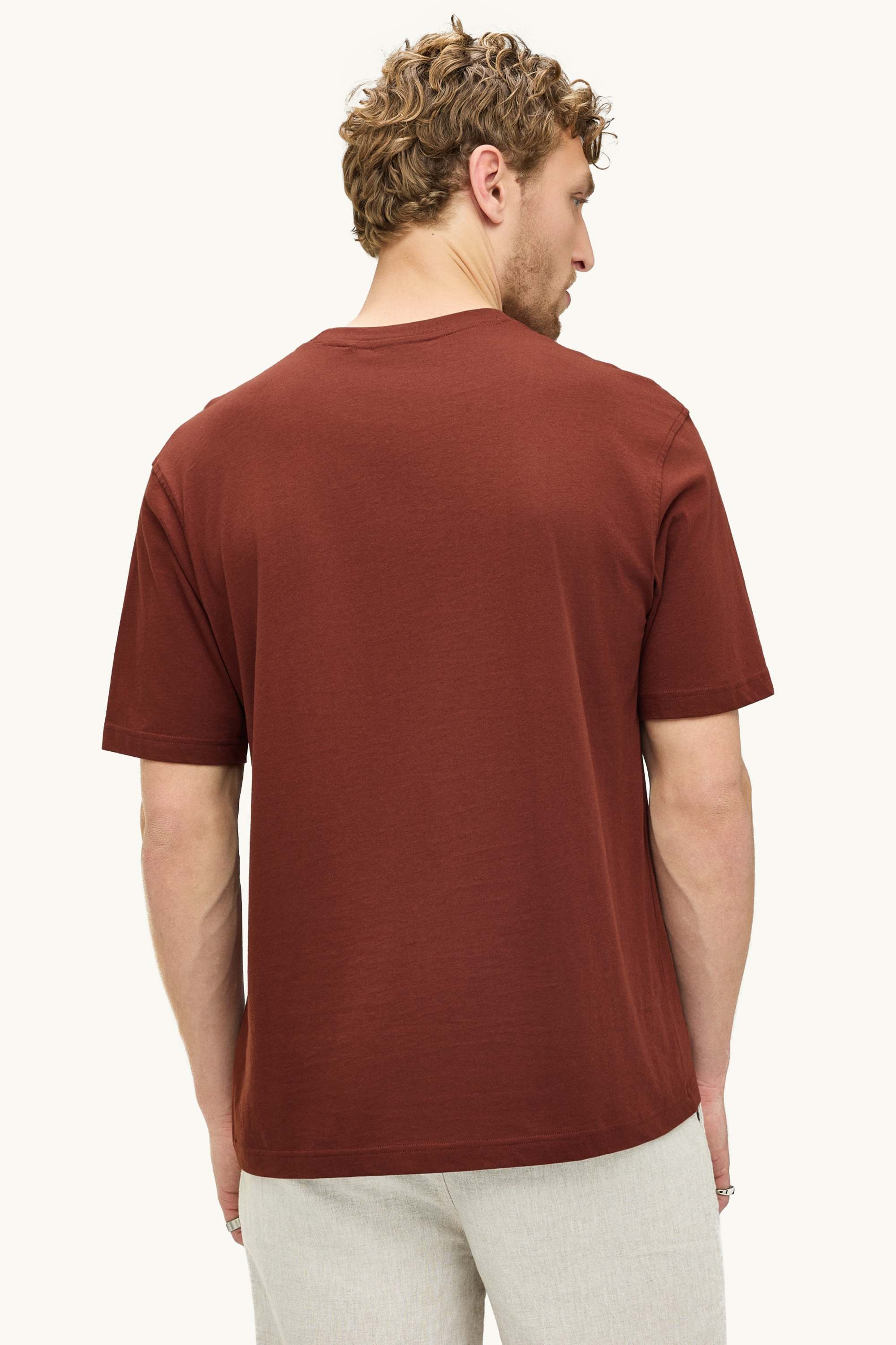 T-shirt - regular fit brown