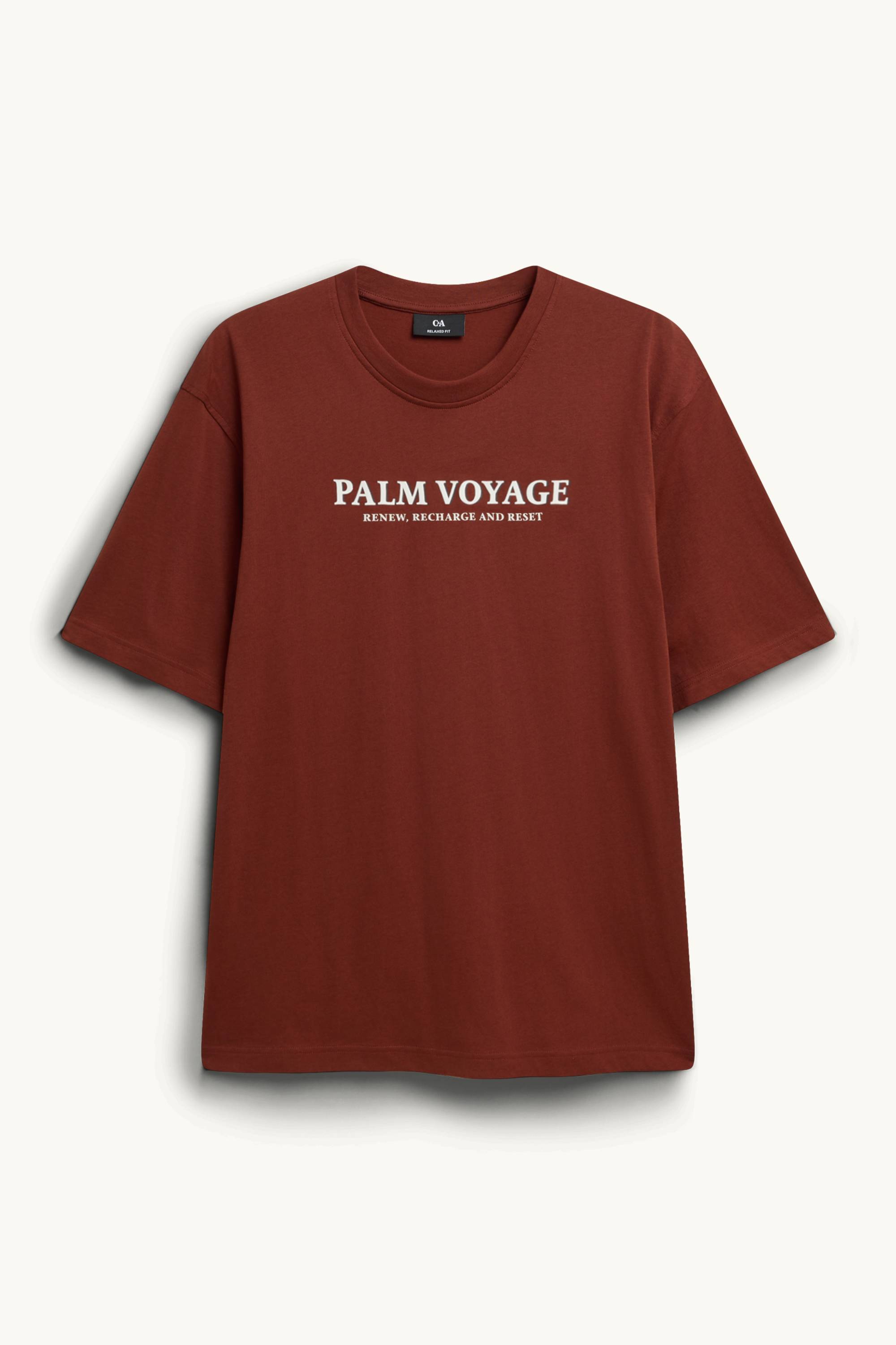 T-shirt - regular fit brown