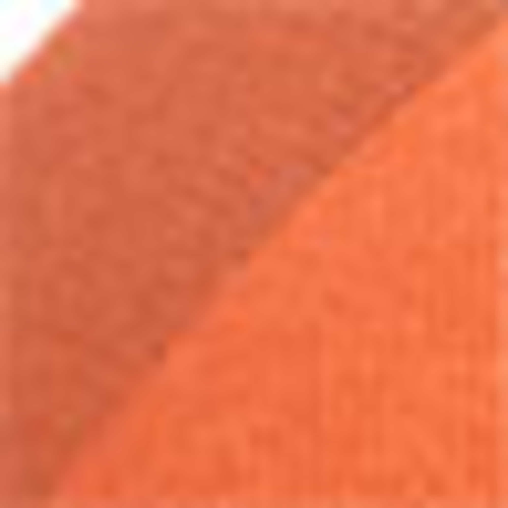 Netherlands - baseball cap orange