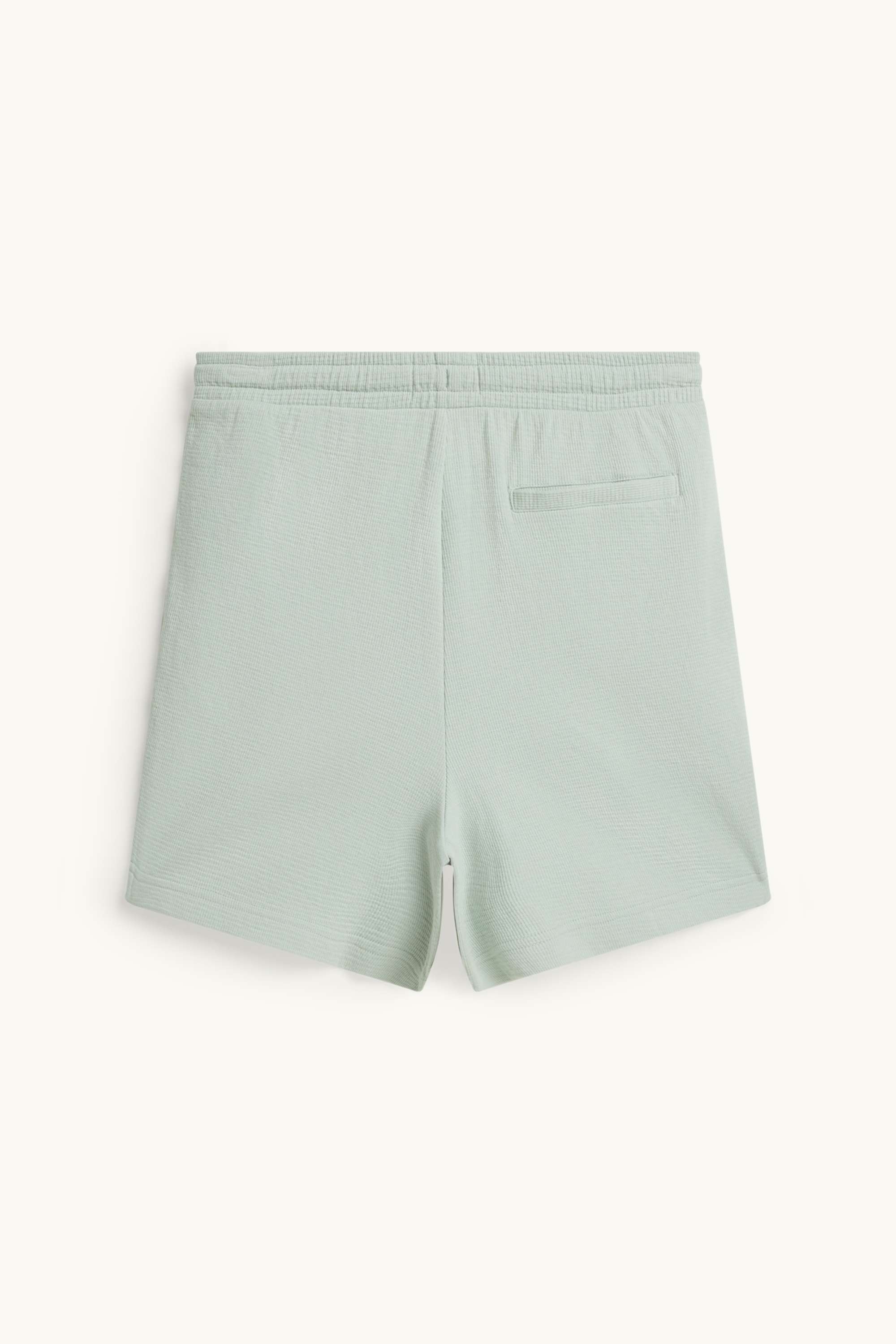 Sweat shorts - textured light green