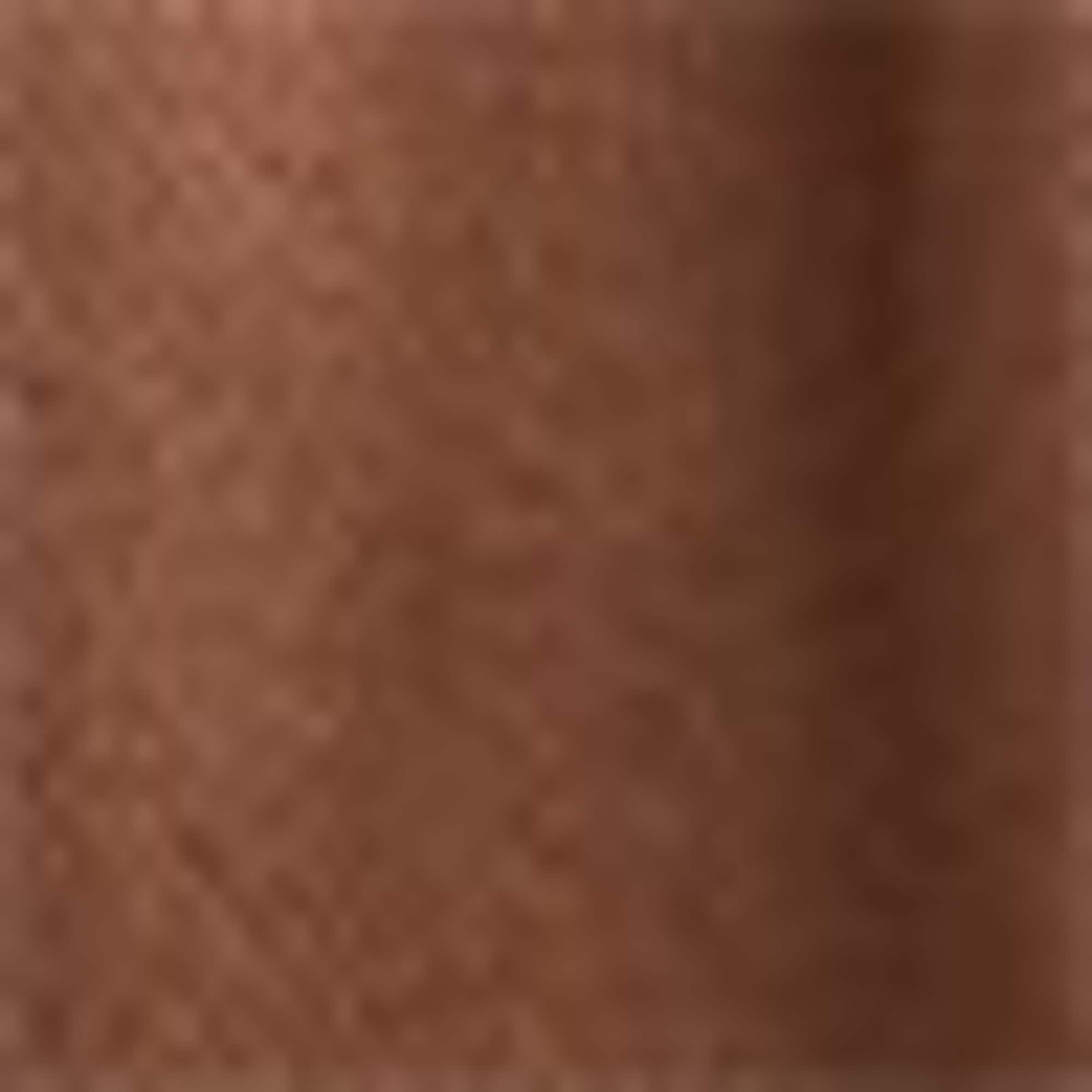 Shorts brown