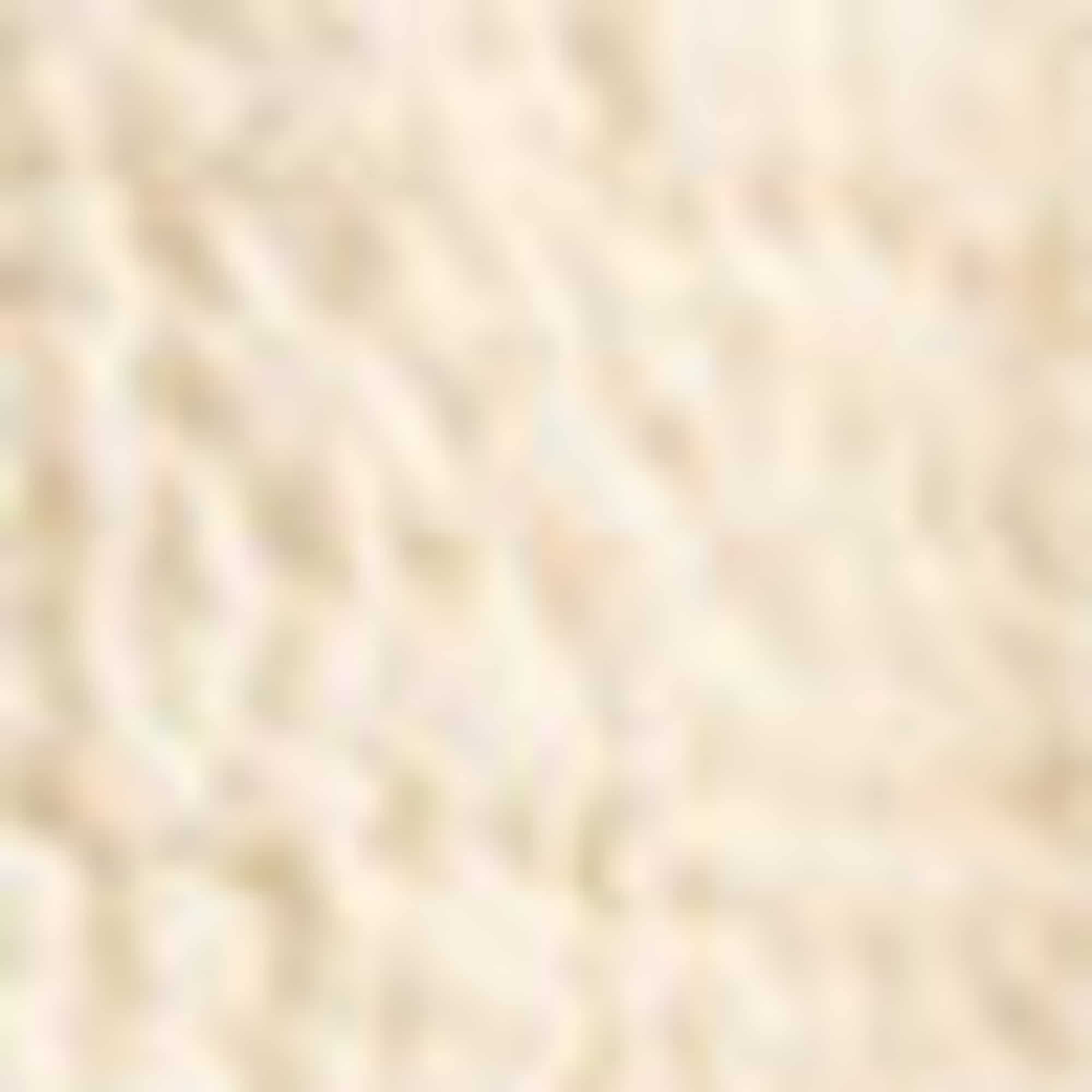 Shorts cremewhite