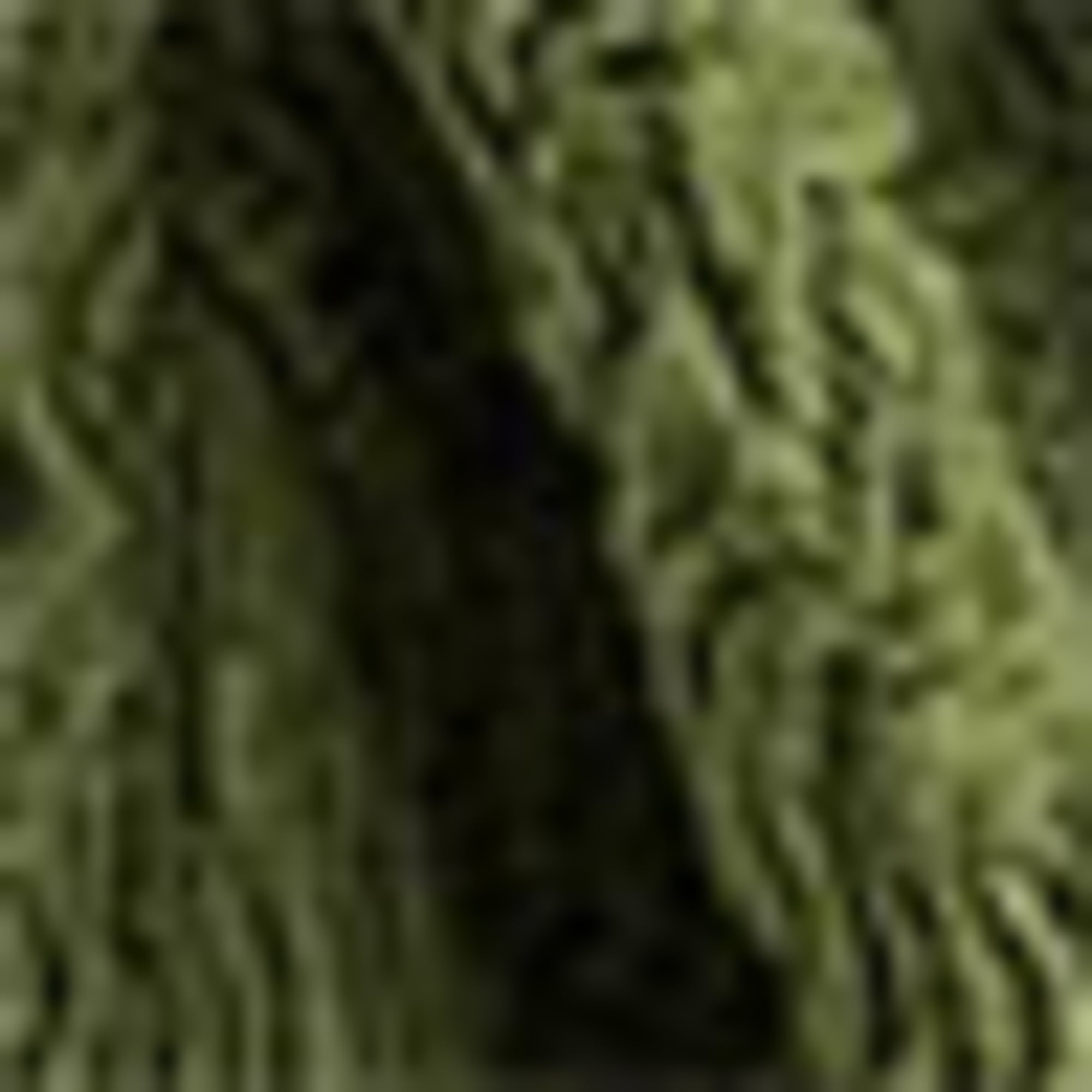 Bodycon dress - textured dark green
