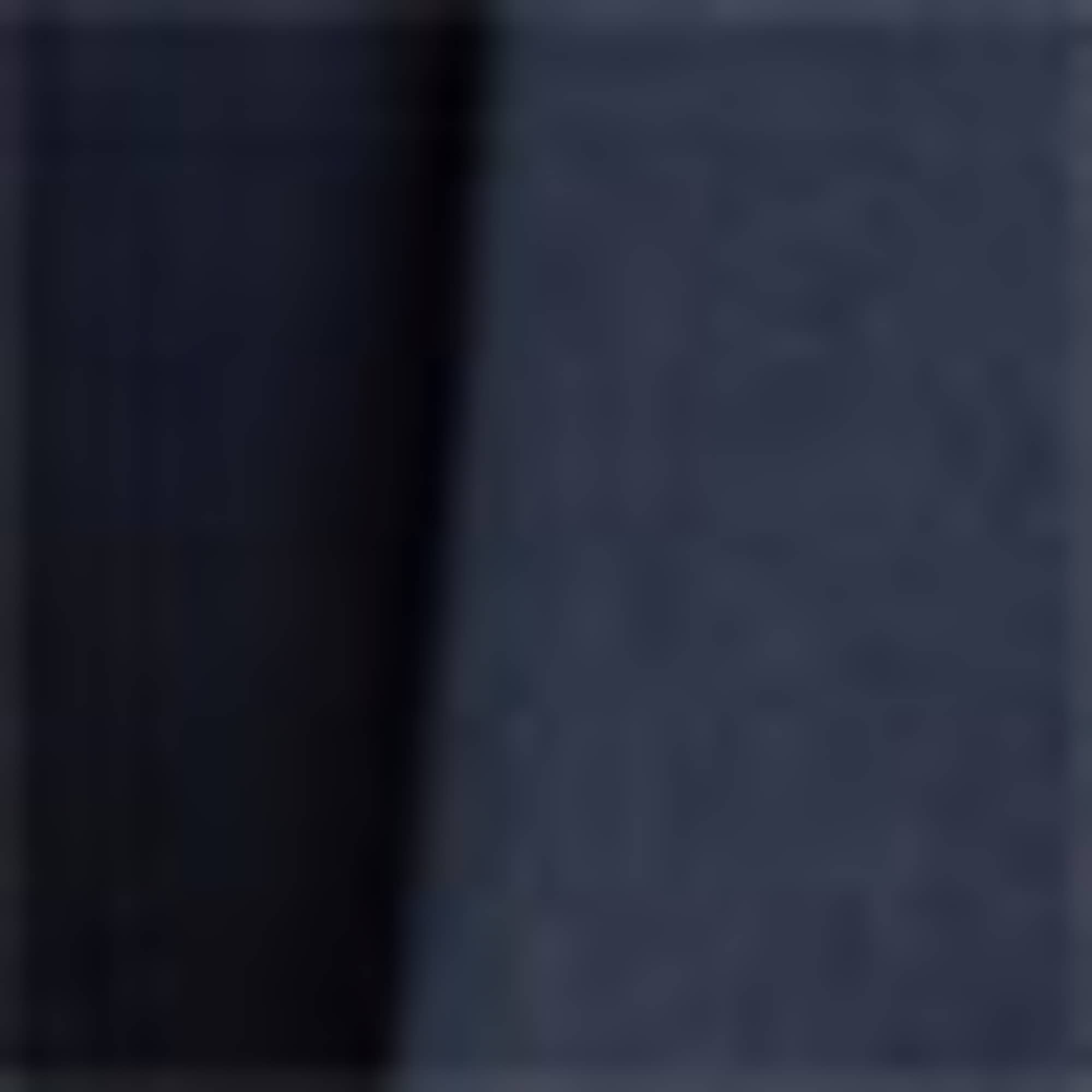 Shorts dark blue