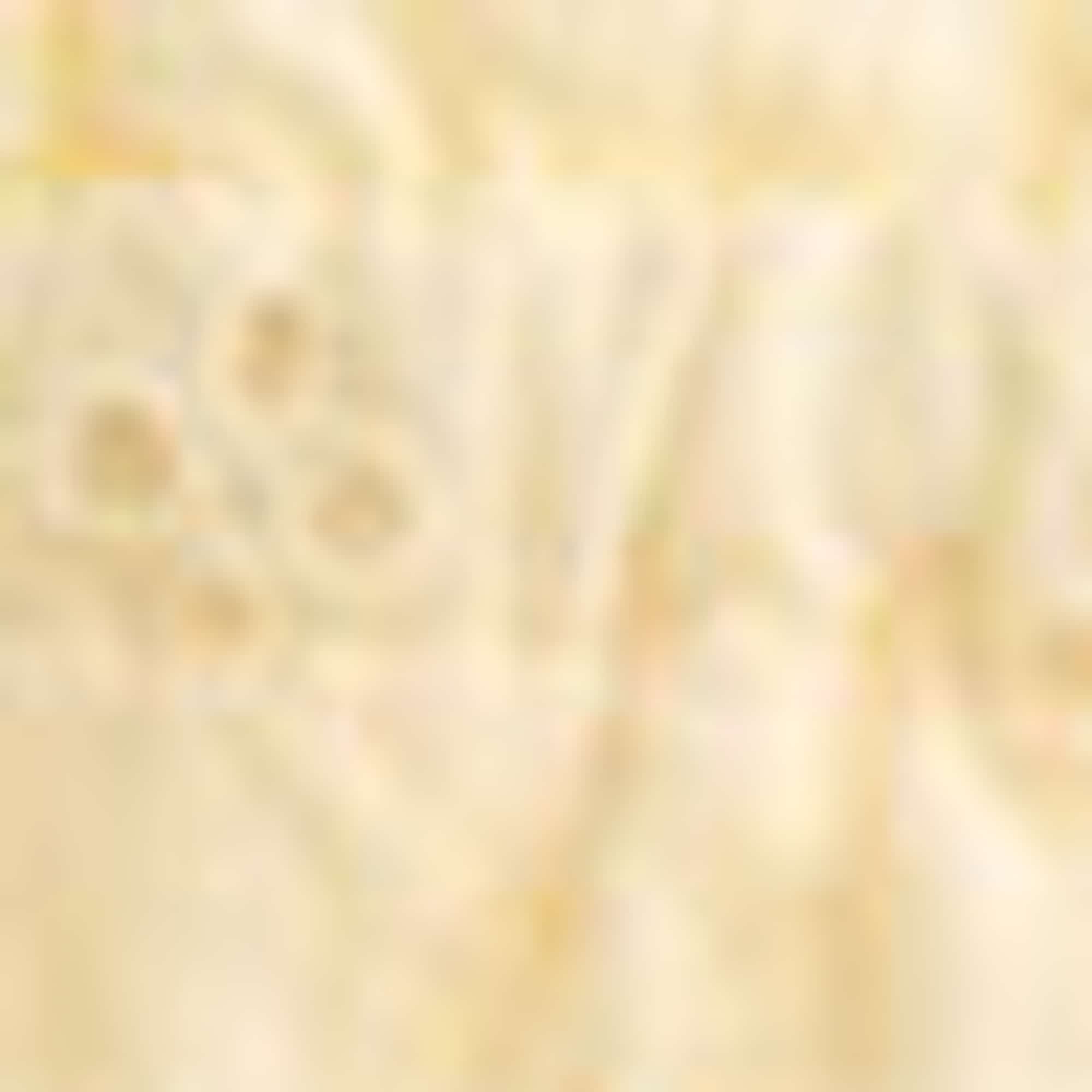 Blouse top - broderie anglaise light yellow