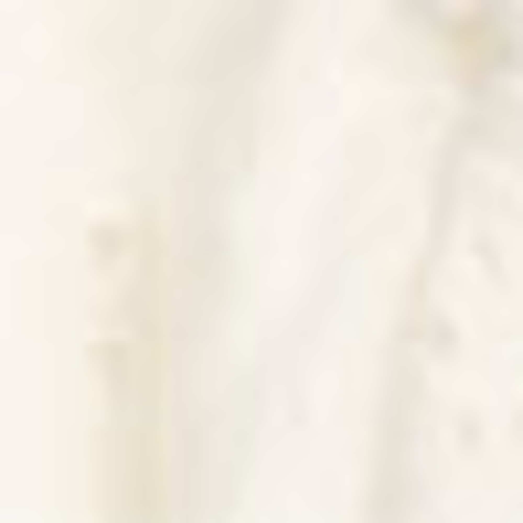 Cropped blouse - broderie anglaise white
