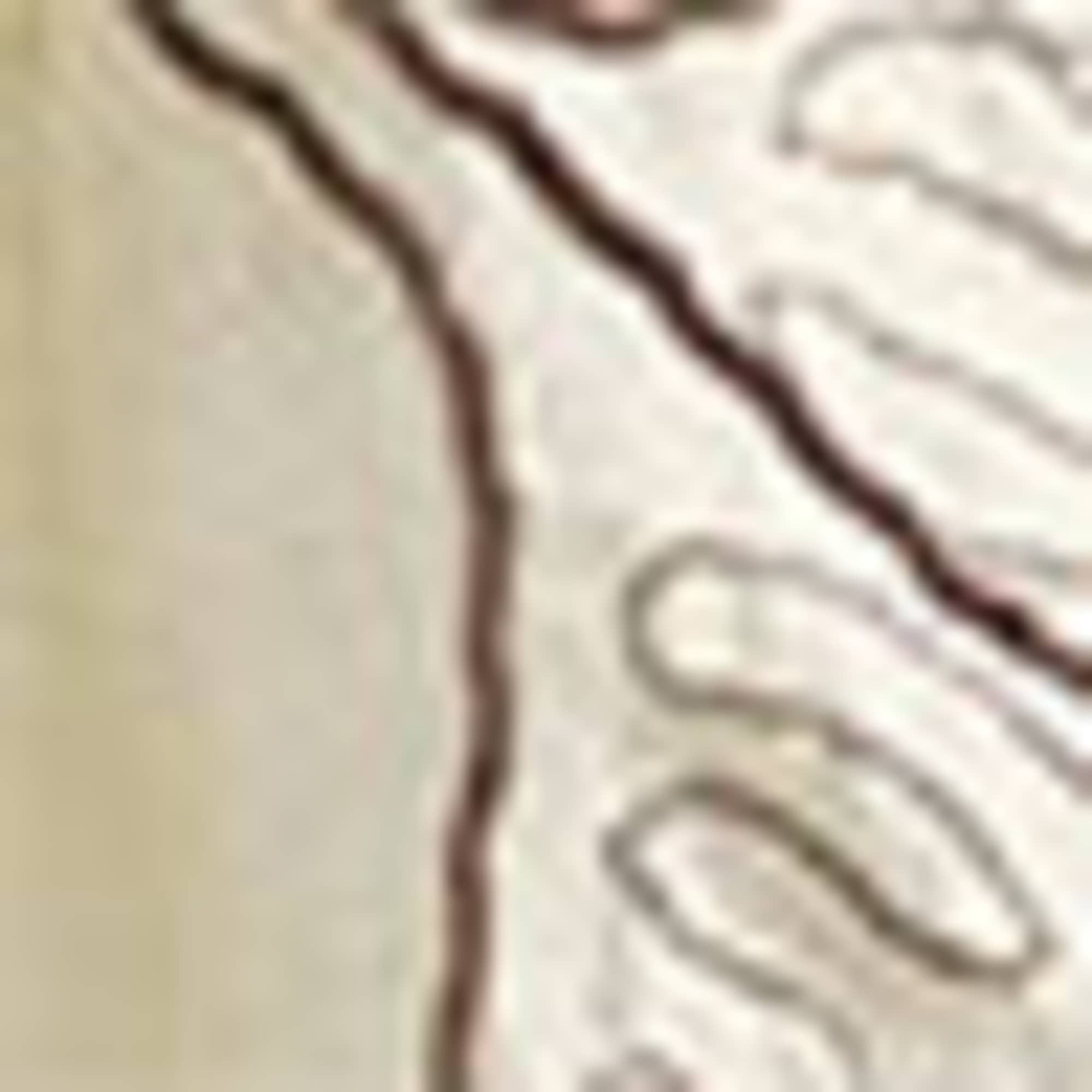 V-neck blouse - patterned creme