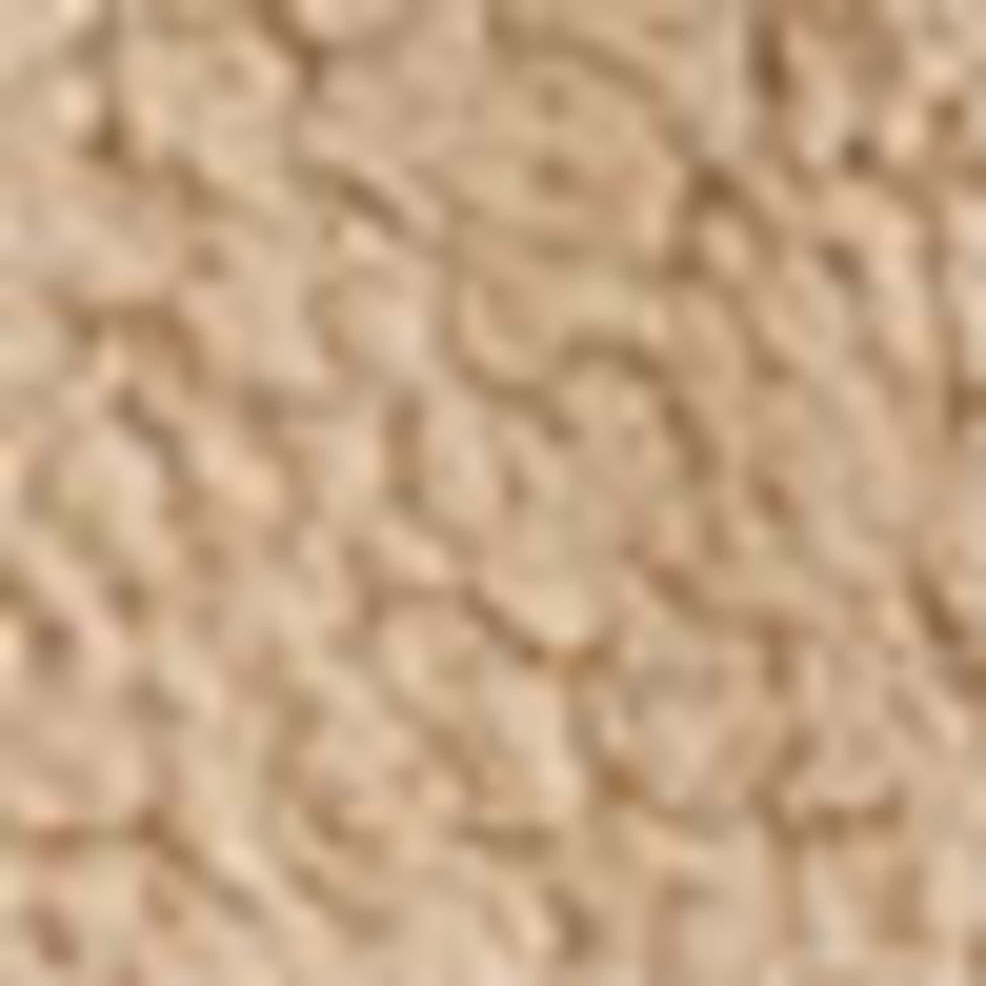 Teddy fur jacket with hood light brown