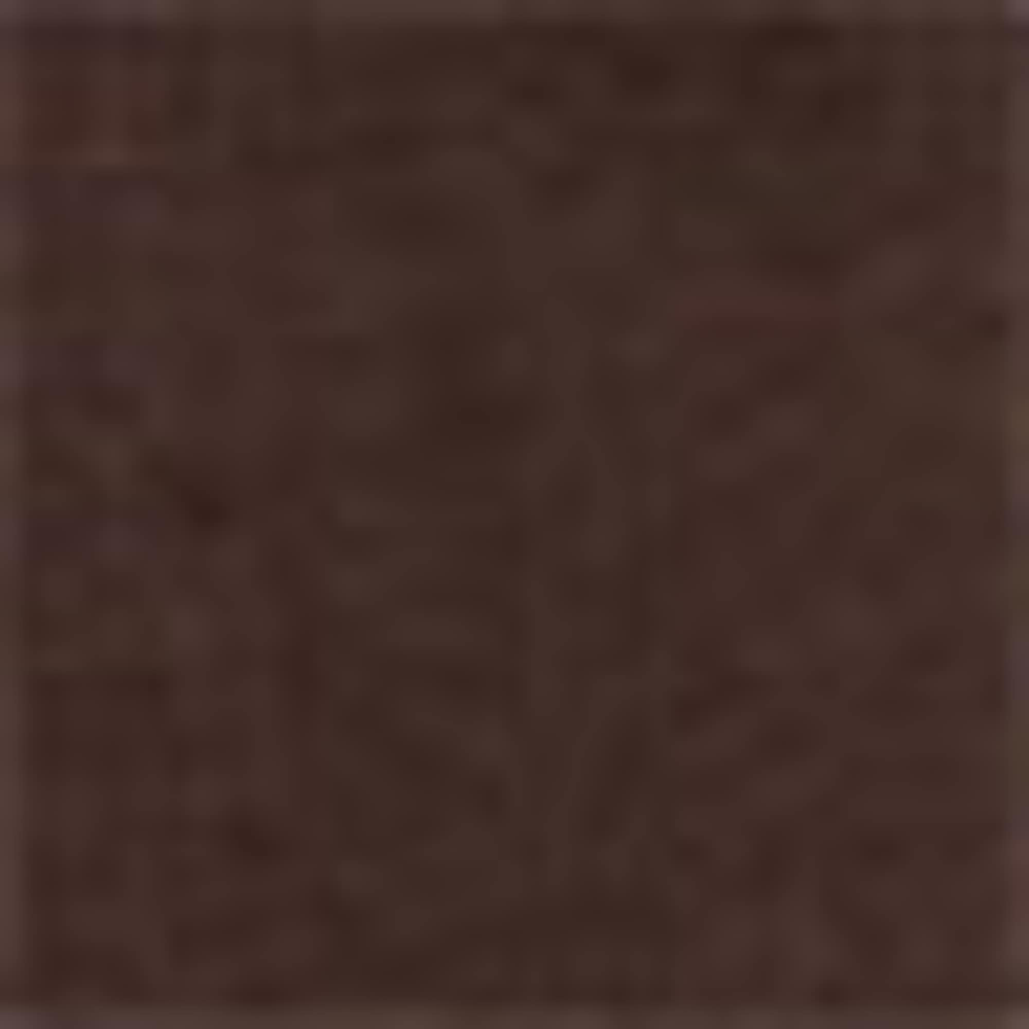 Shirt blouse brown