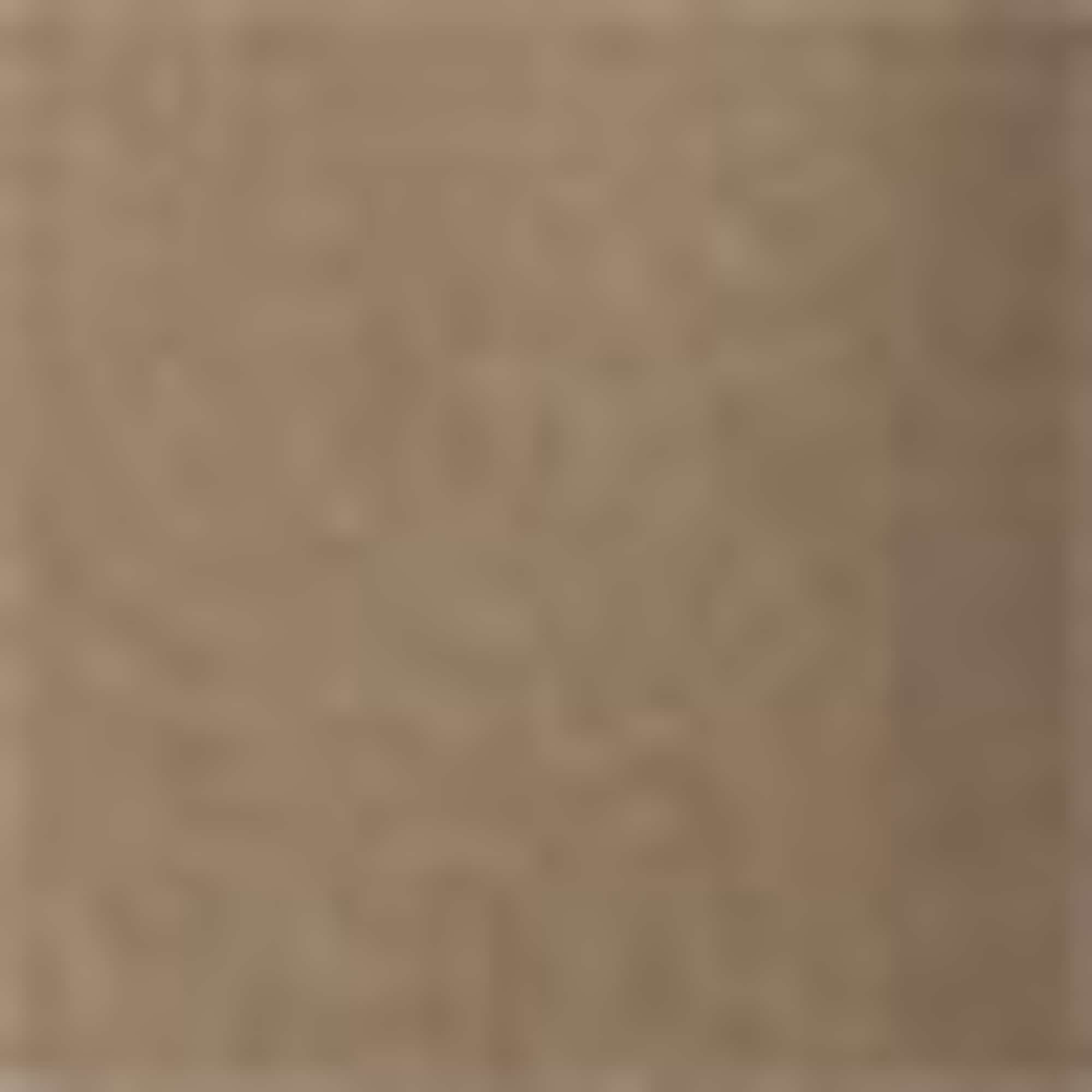 Cargo shorts with belt brown