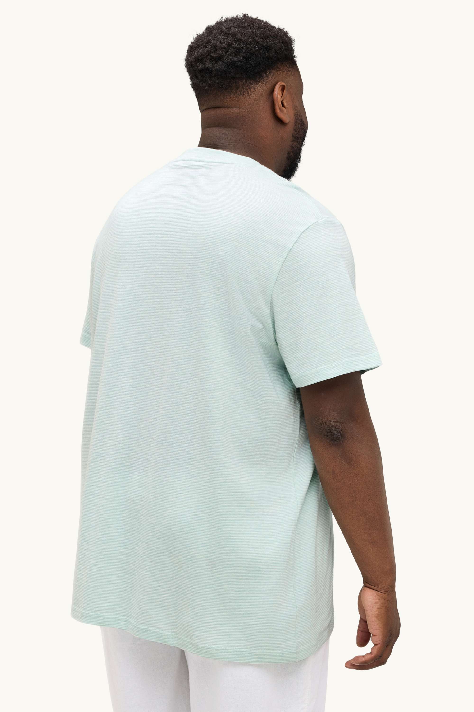 T-shirt - regular fit - striped mint green