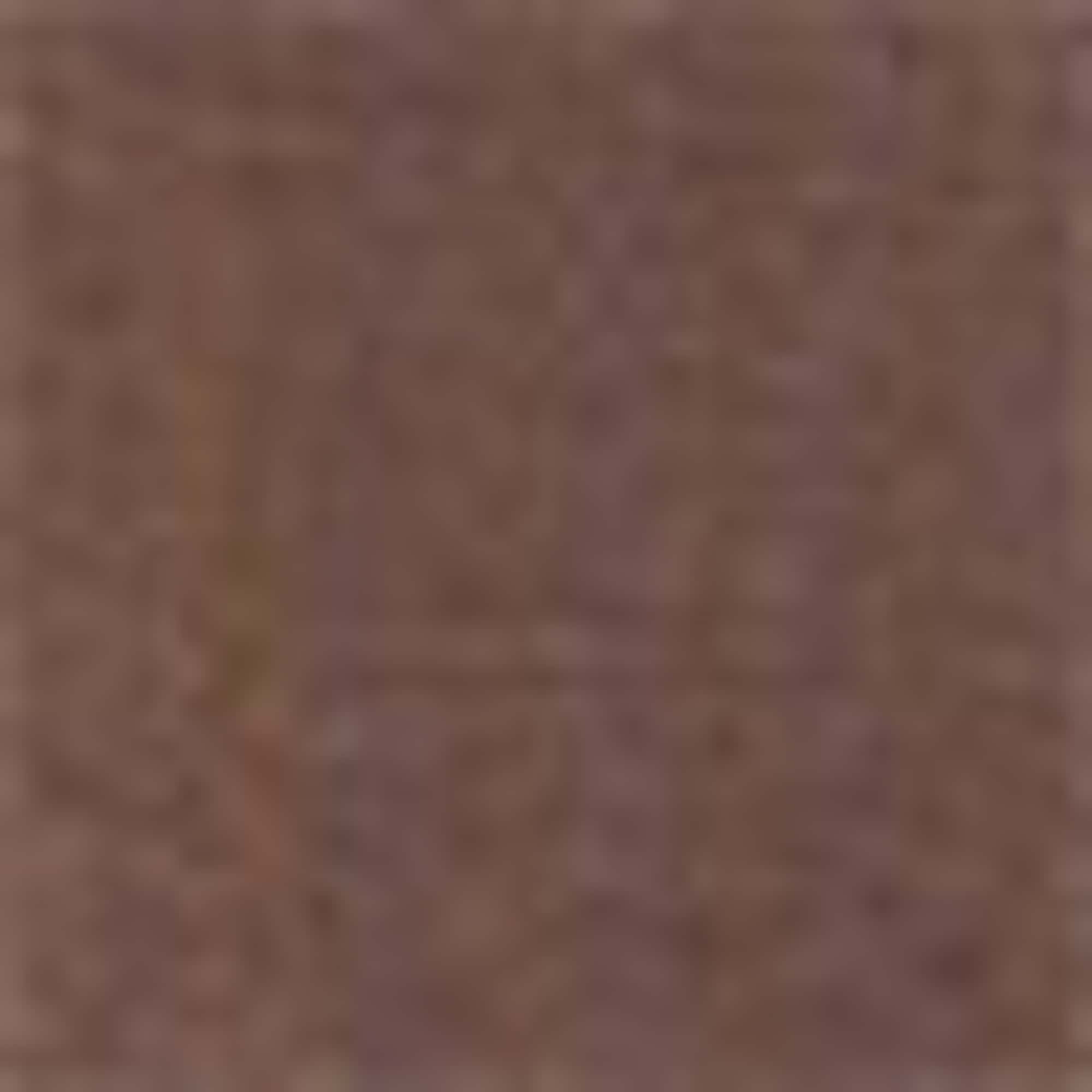 Set - top and short sleeve T-shirt - 2 piece brown