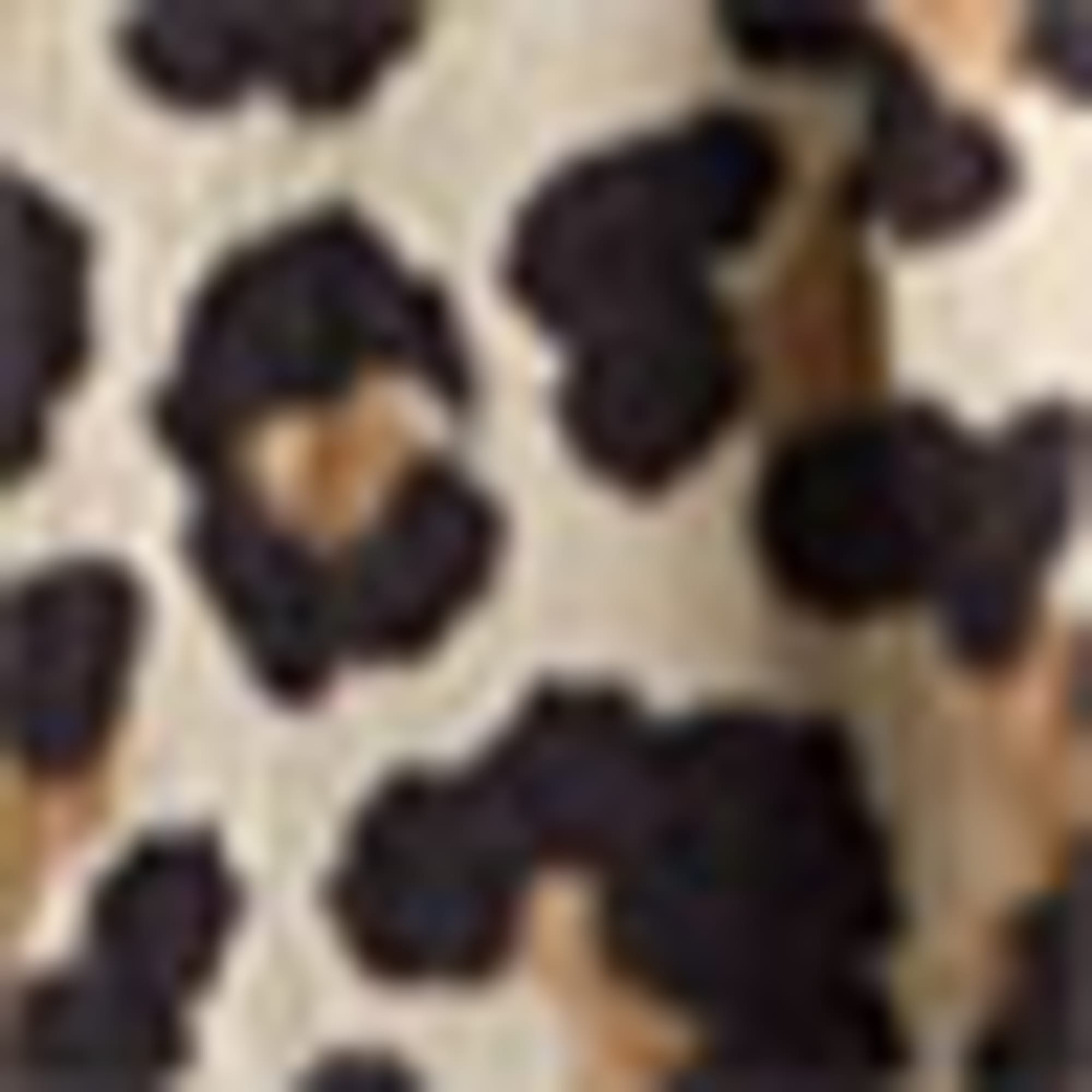 Jumpsuit - leopard print black / beige